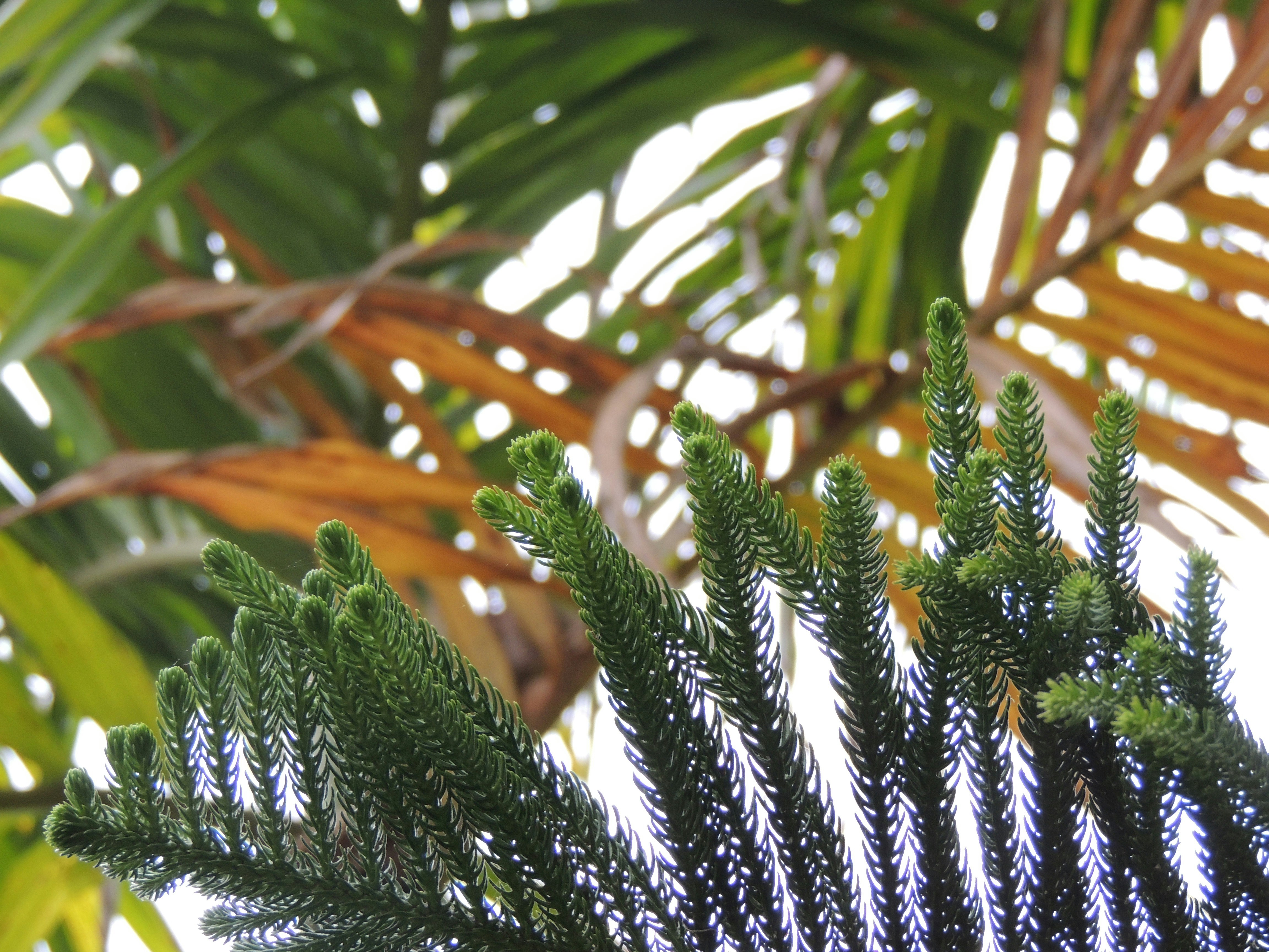 Photo by sreyabwowza