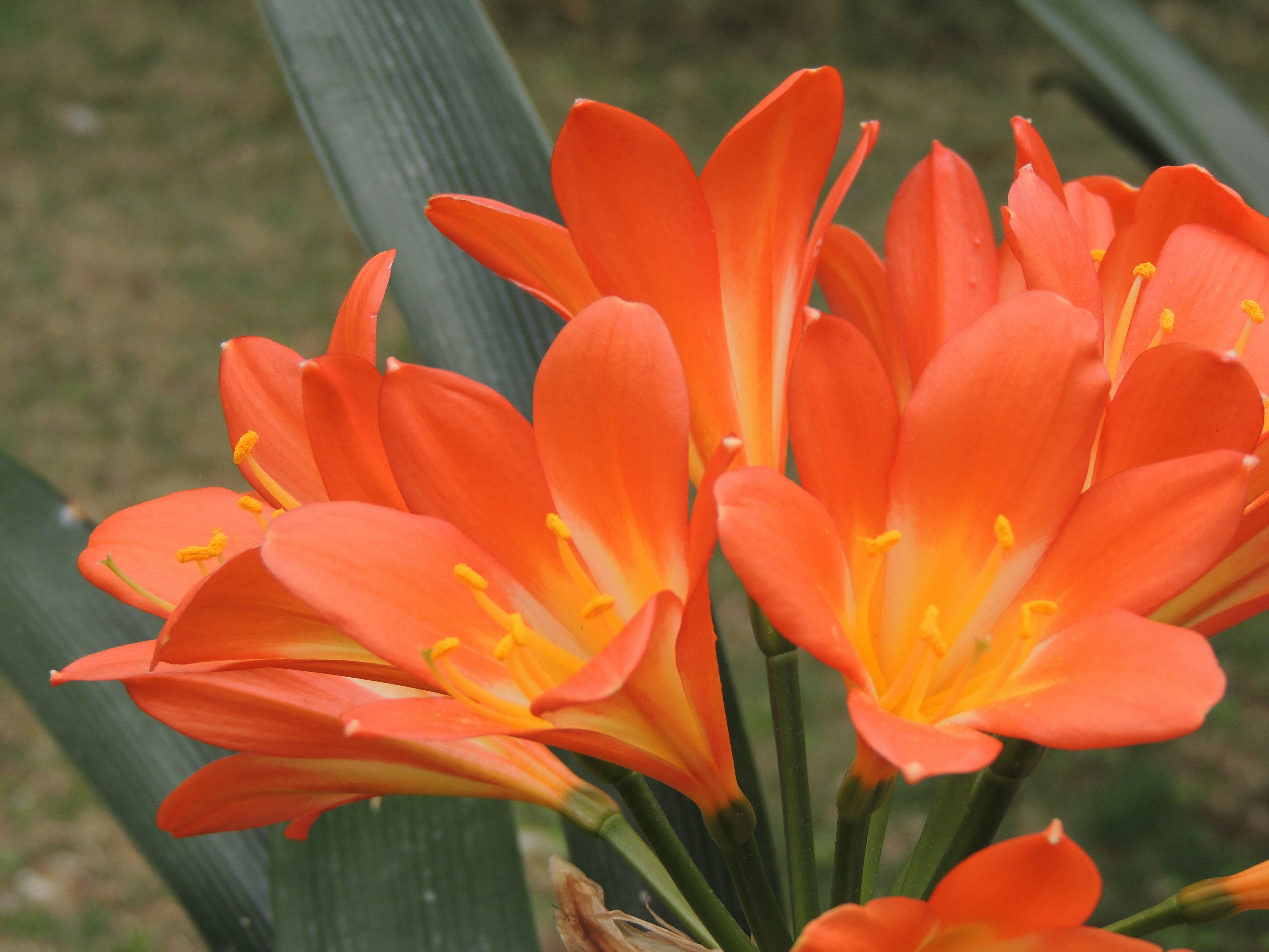 Photo by sreyabwowza