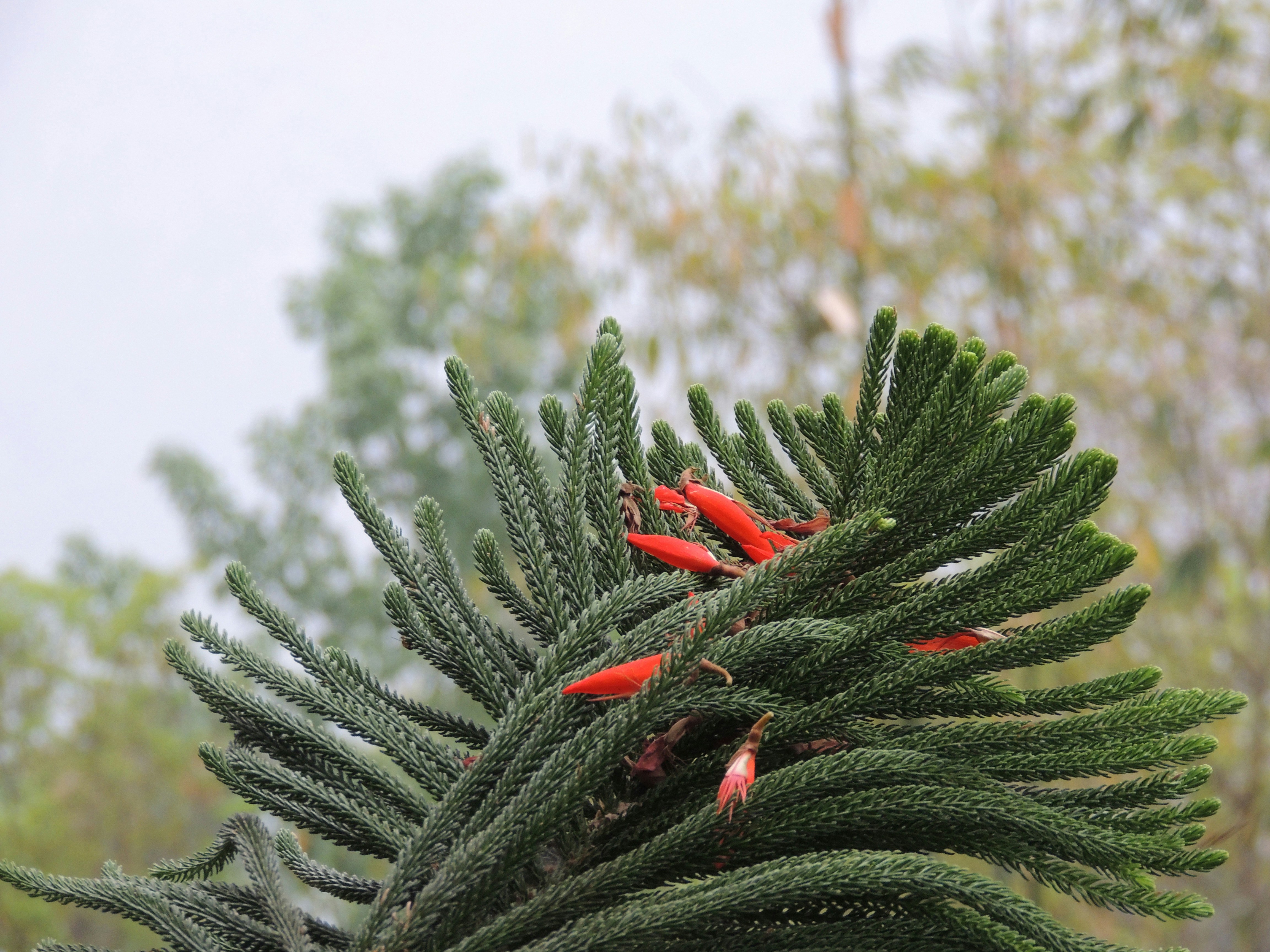 Photo by sreyabwowza