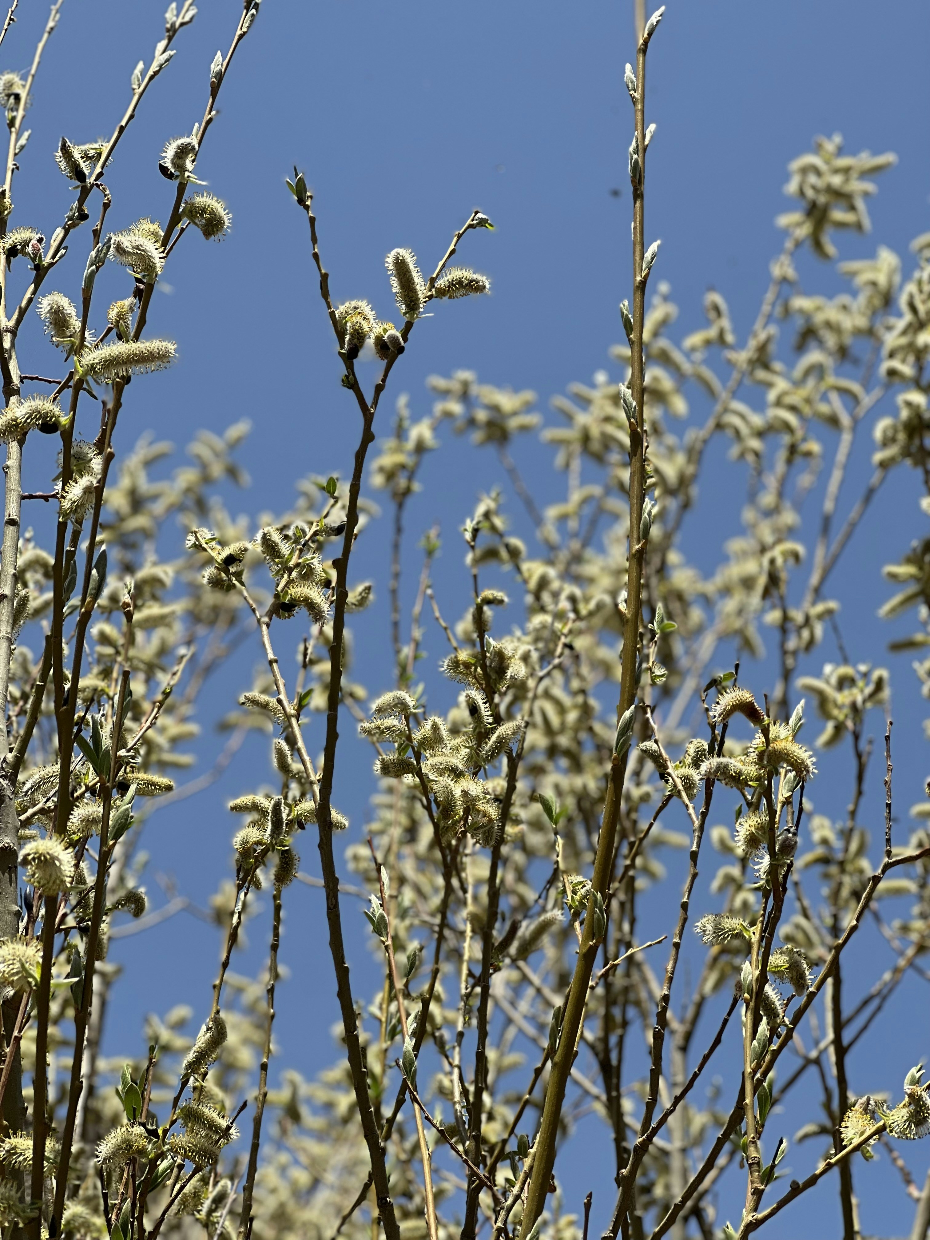 Photo by faezeh_eslami