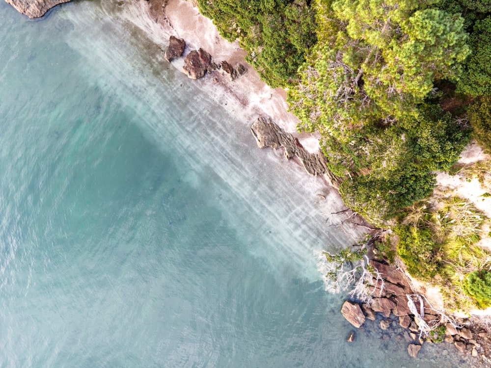 an aerial view of a body of water surrounded by trees