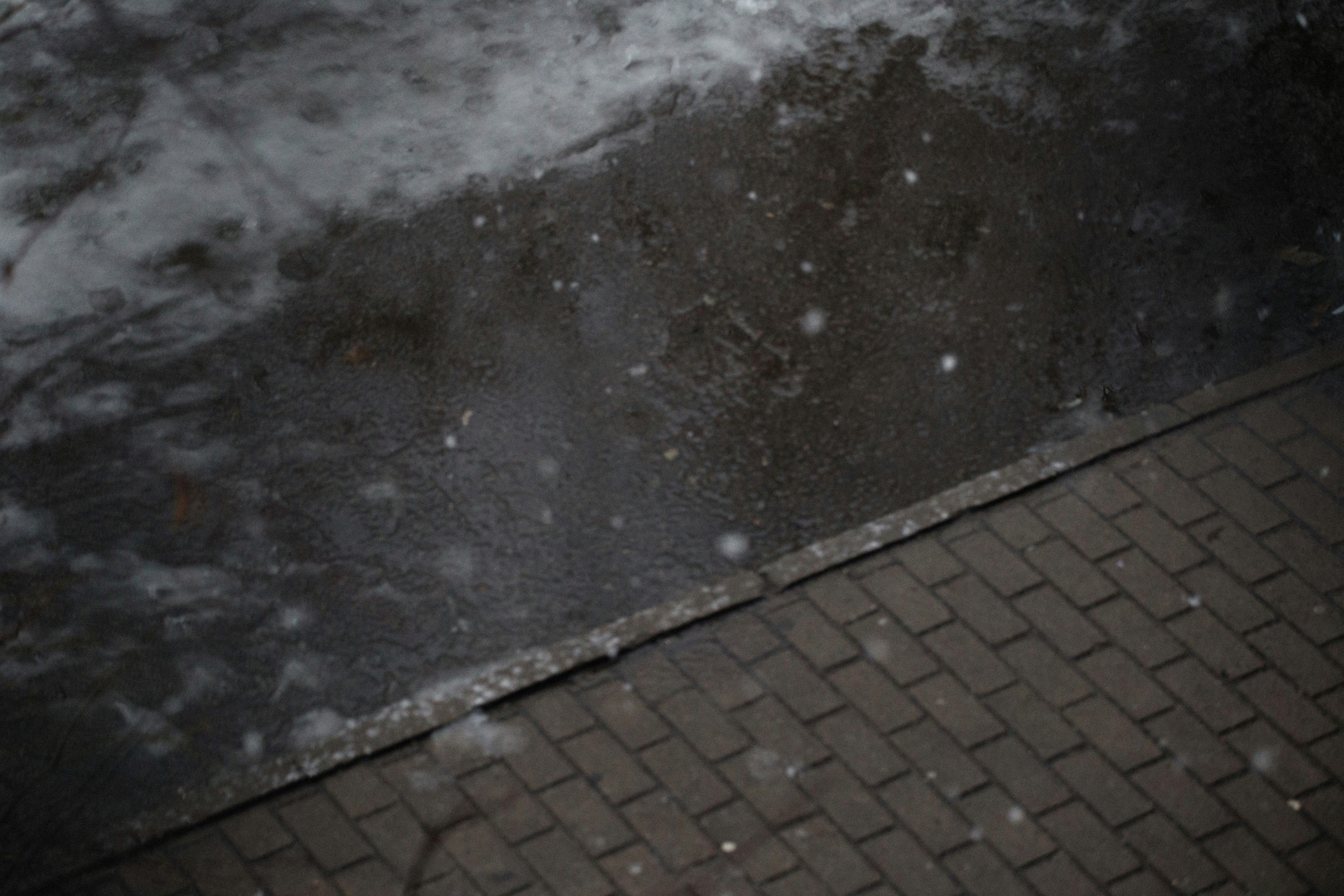 Photo by alexeydemidov