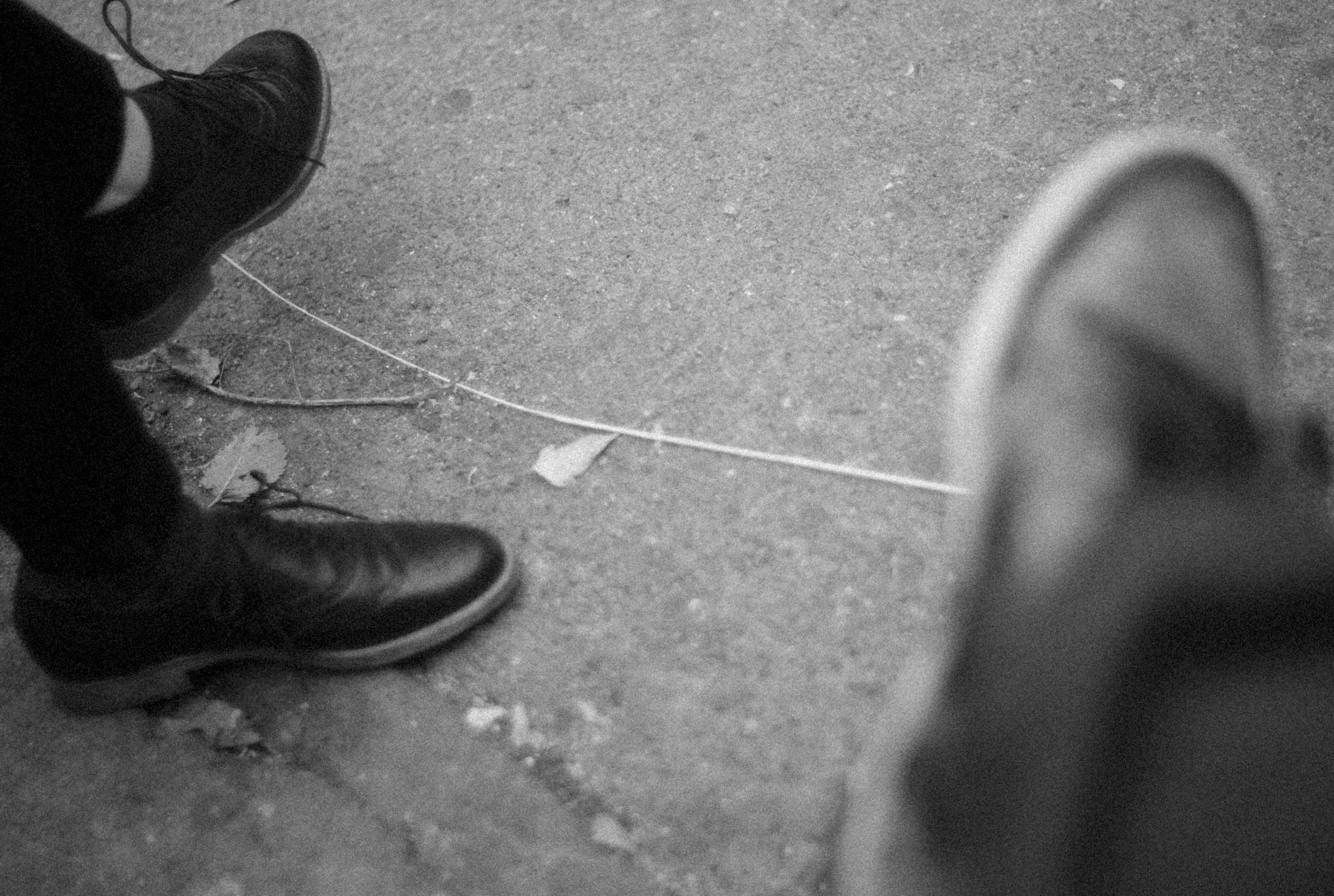 Photo by alexeydemidov