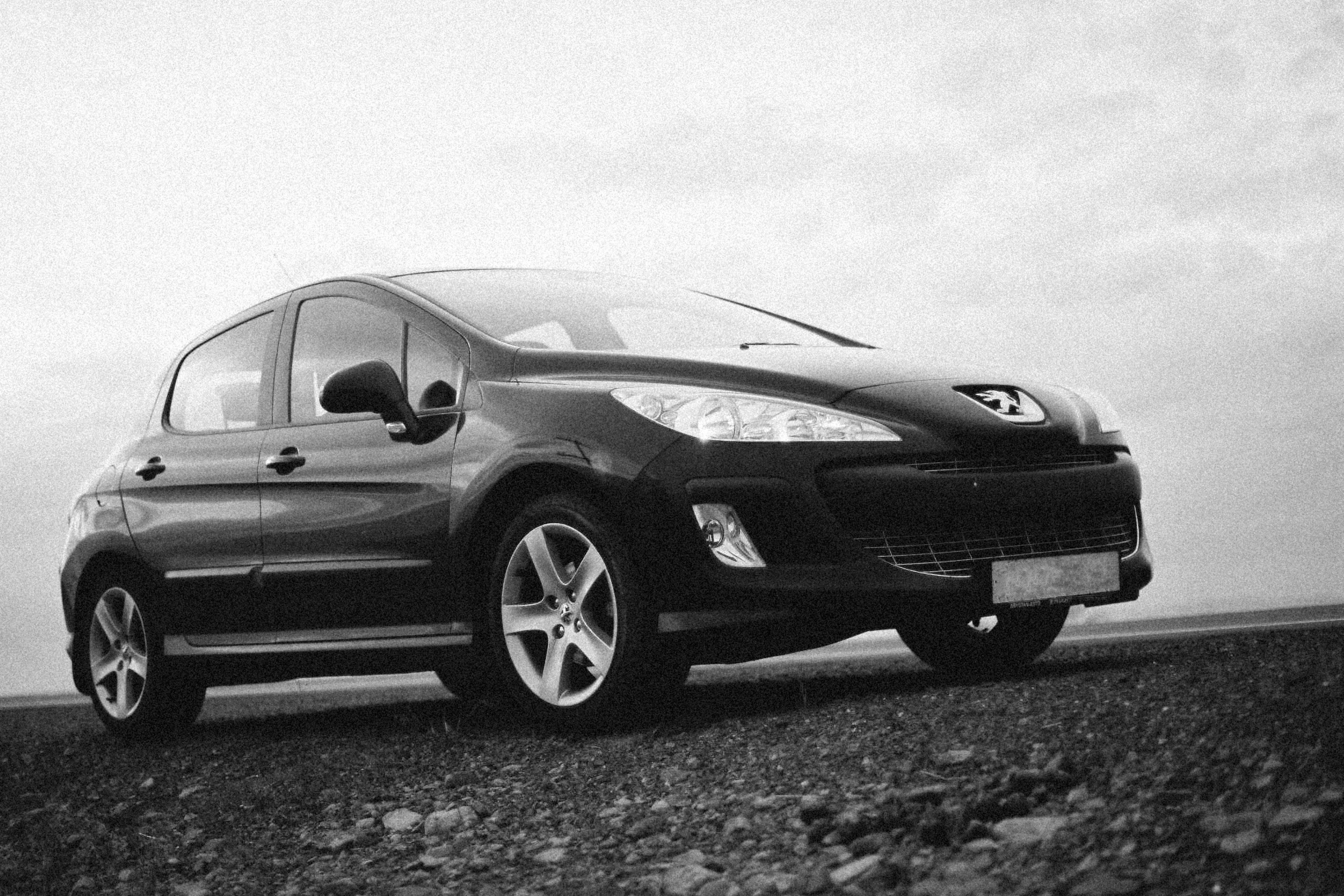 Analysing vehicle rental quotes and details