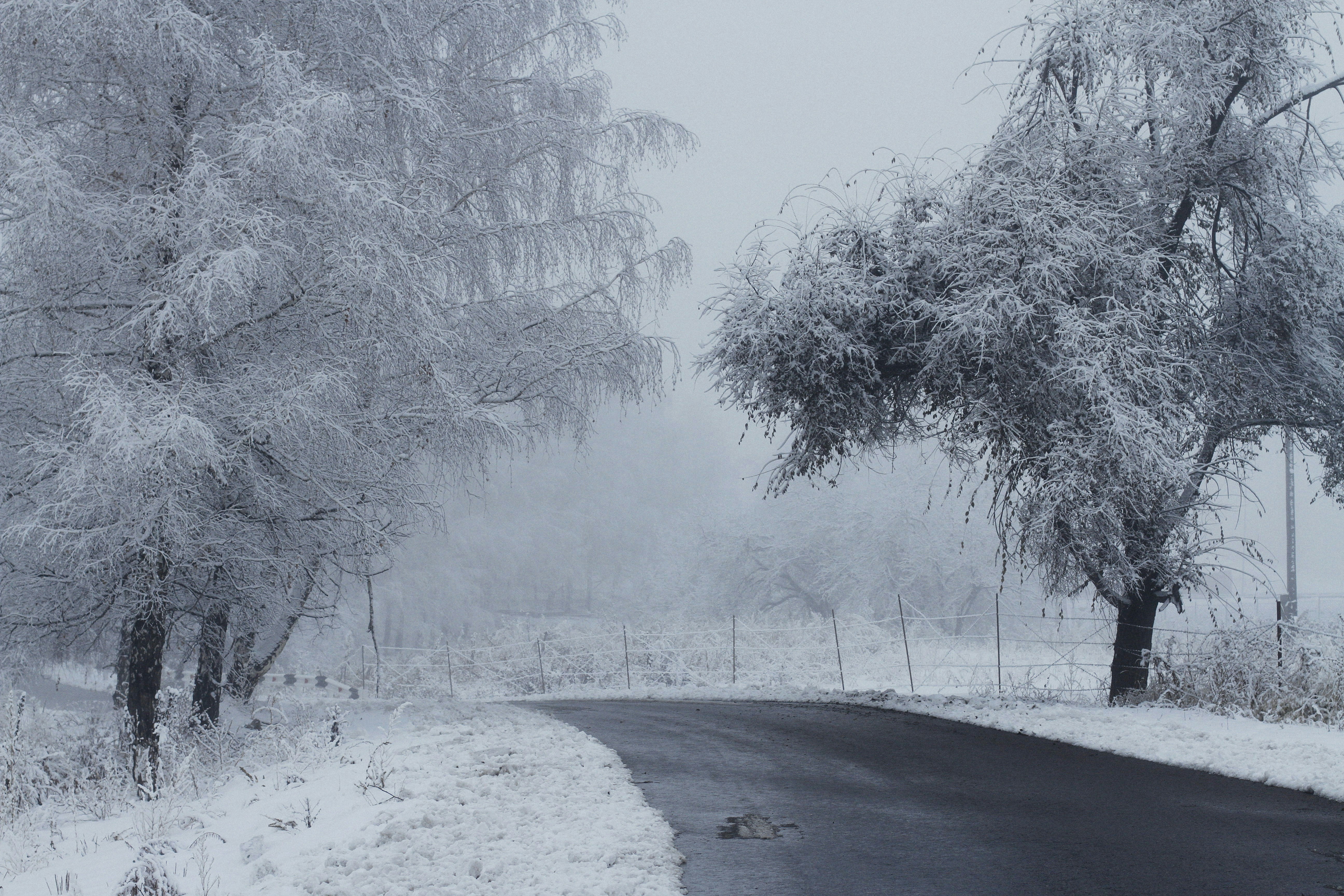 Photo by alexeydemidov