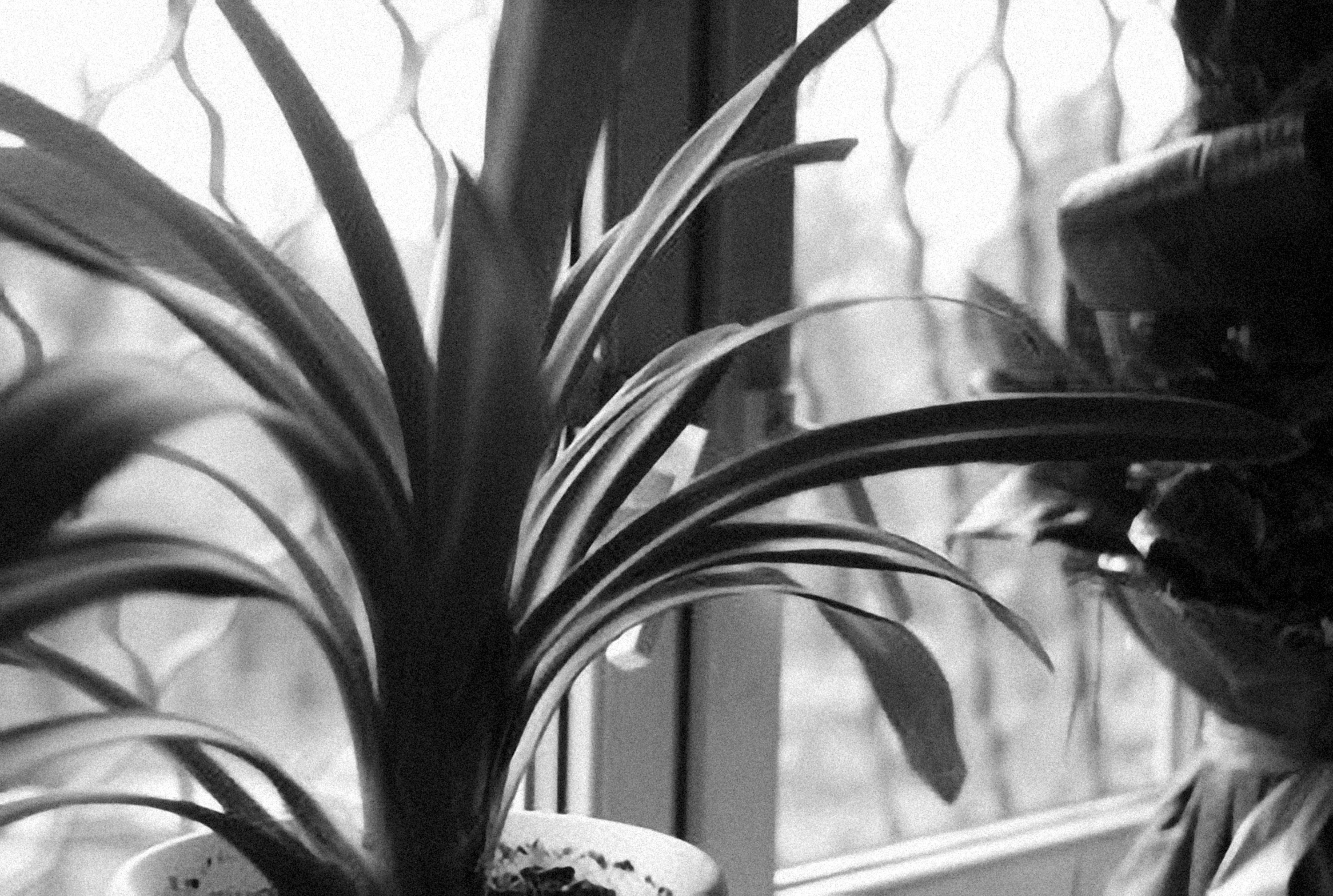 Photo by alexeydemidov