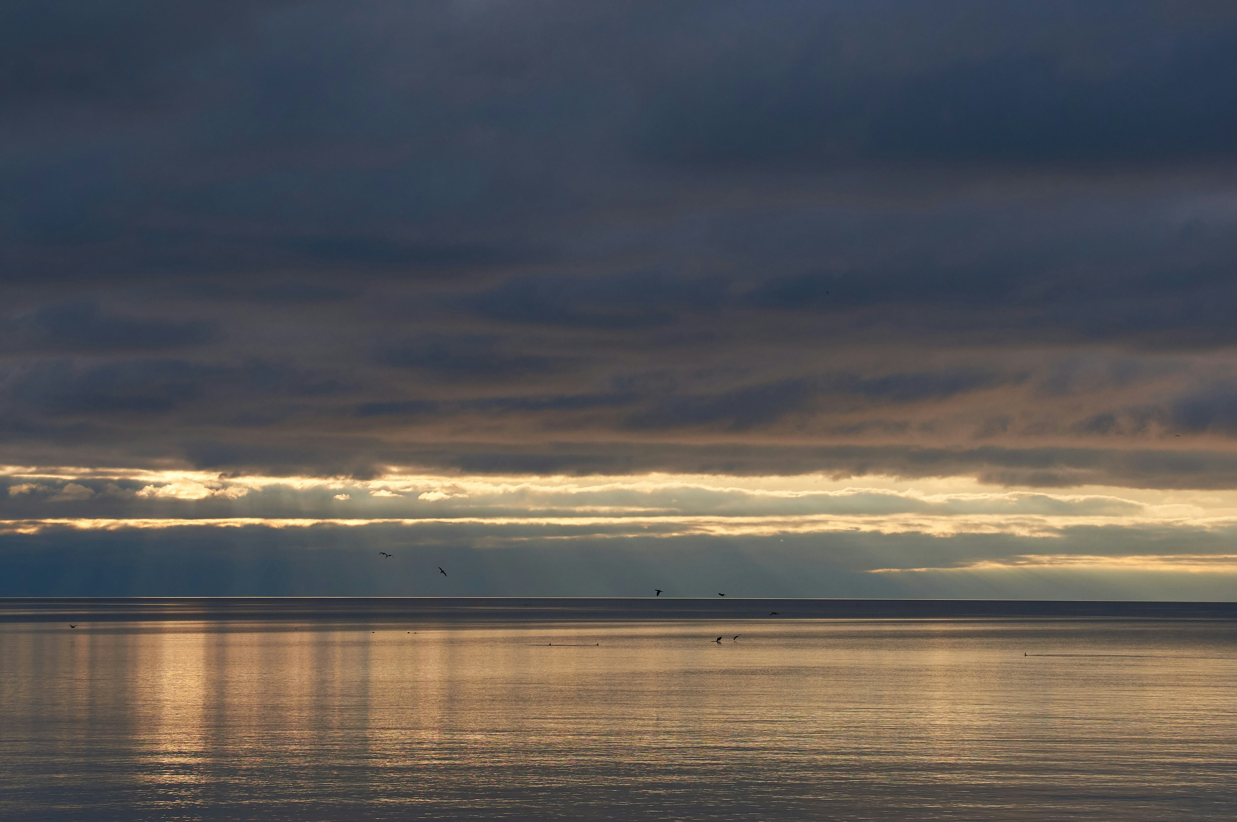 Photo by wolfgang_hasselmann