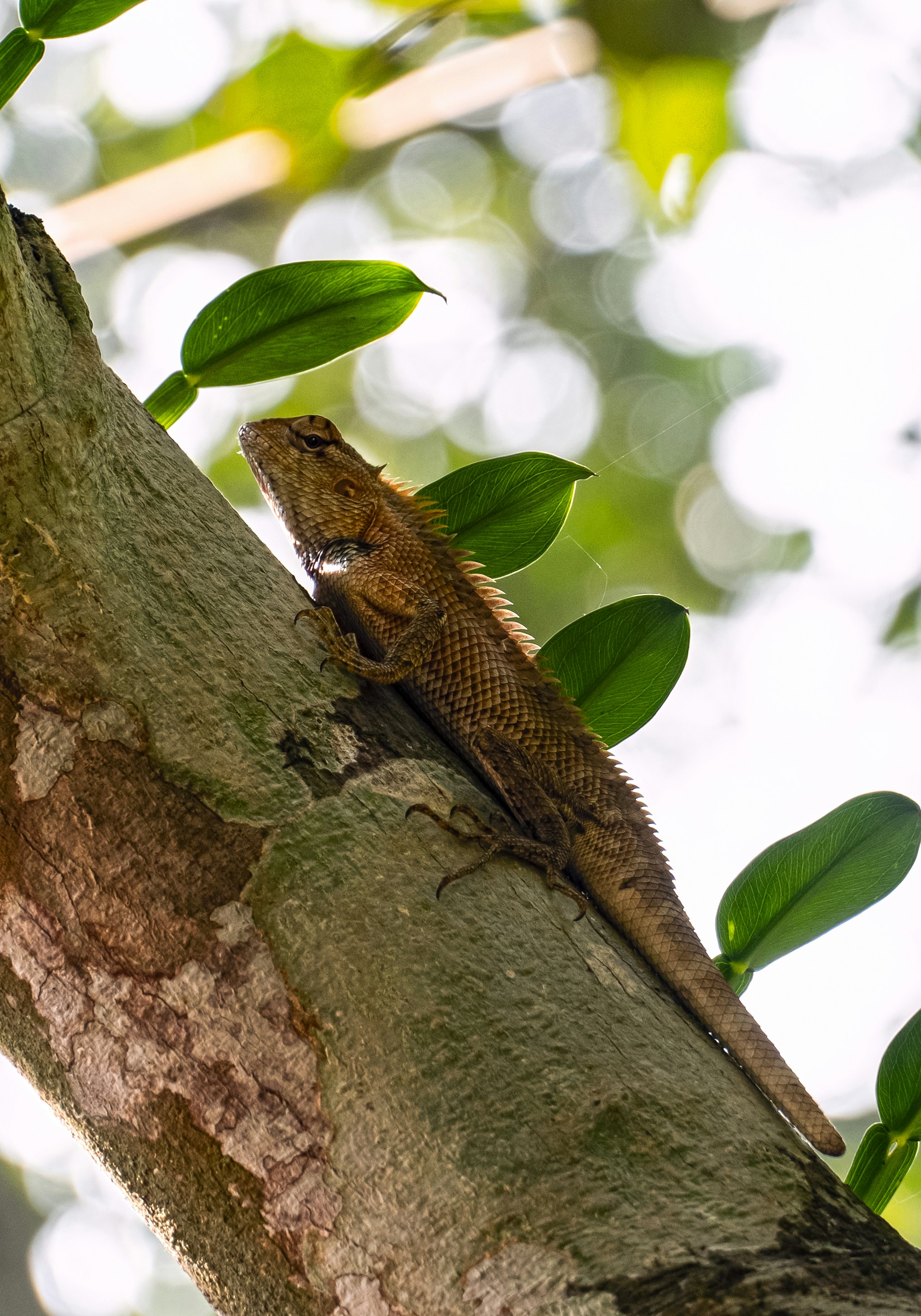 Photo by sahilmohamme841