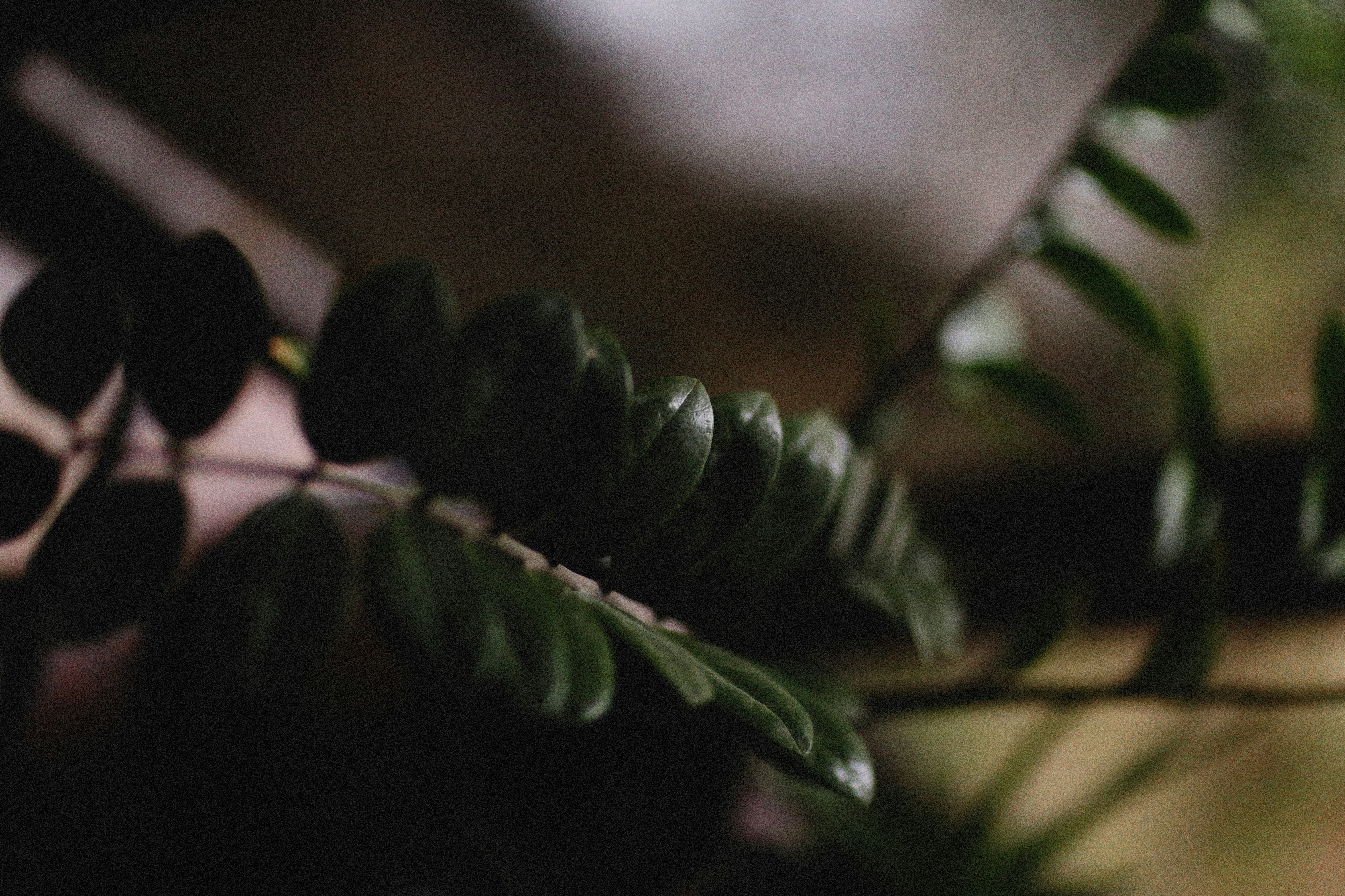 Photo by alexeydemidov