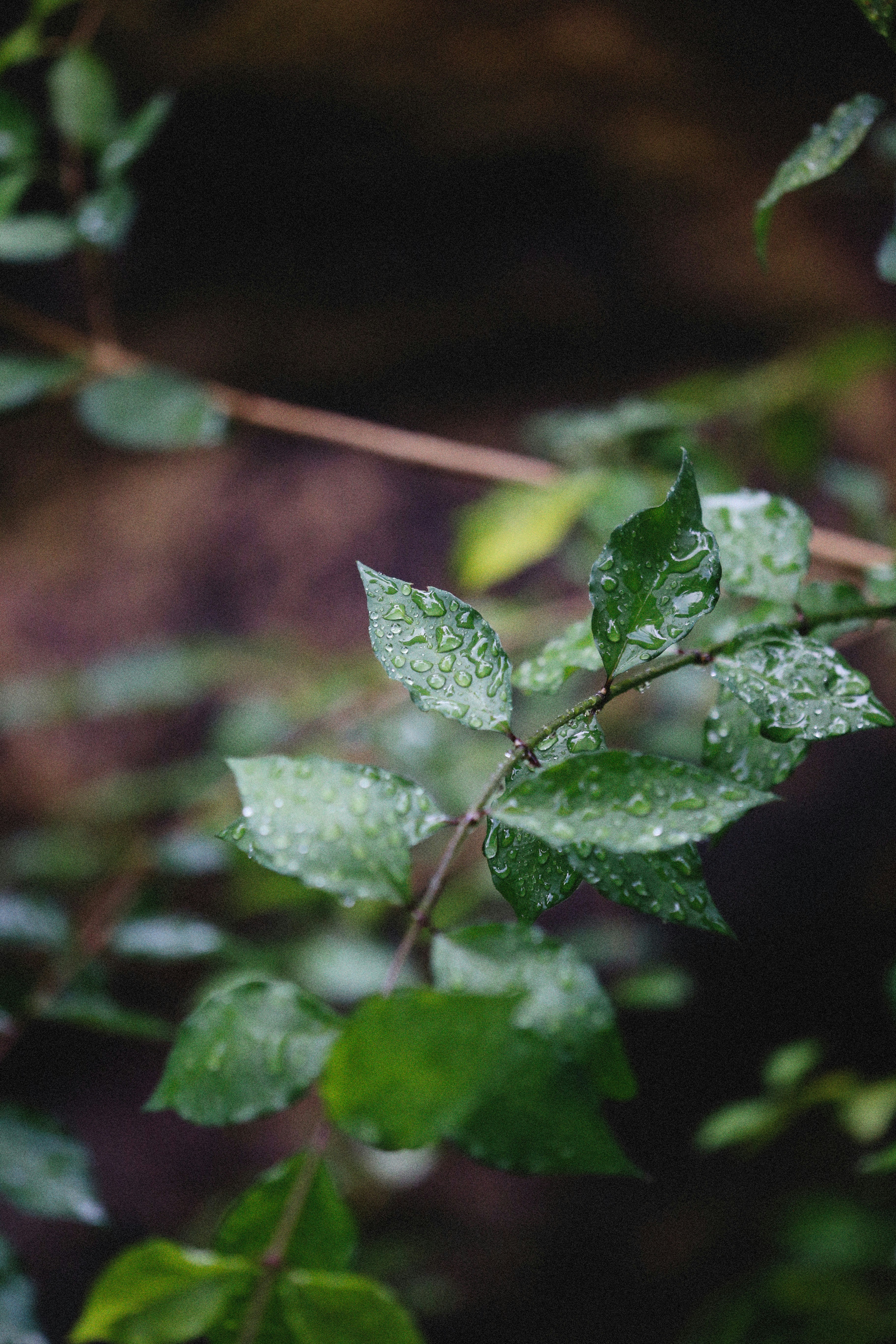 Photo by alexeydemidov