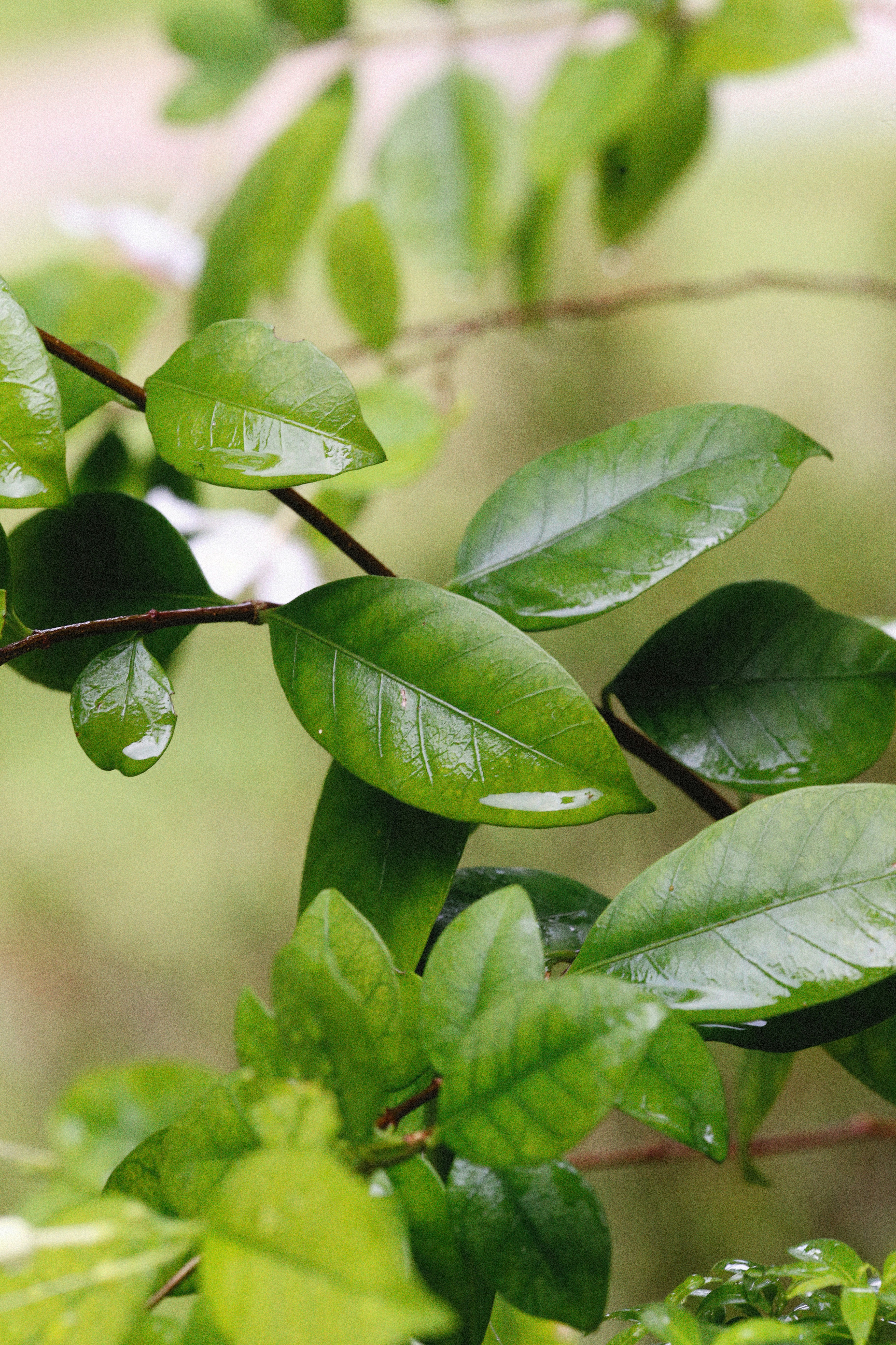 Photo by alexeydemidov