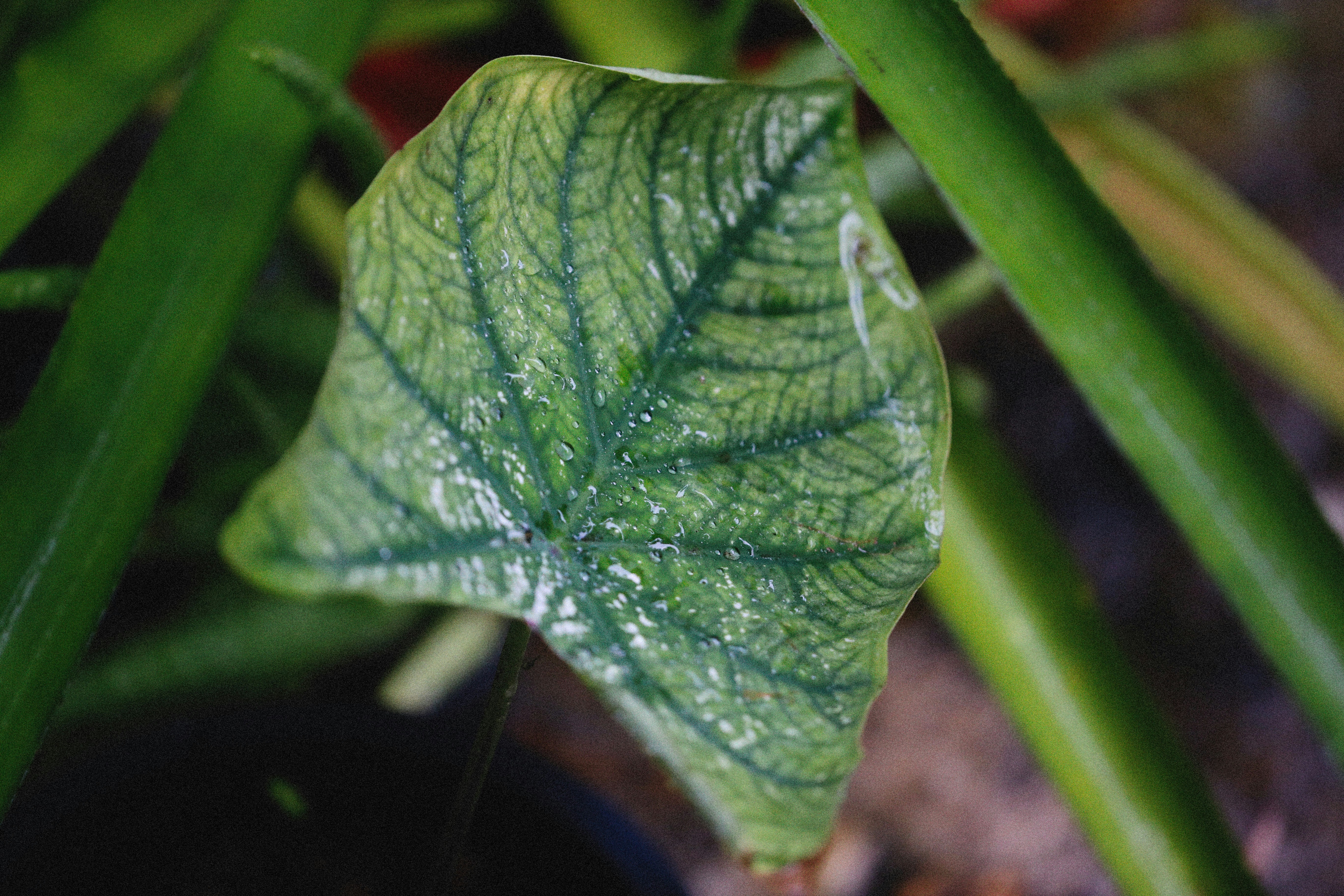 Photo by alexeydemidov