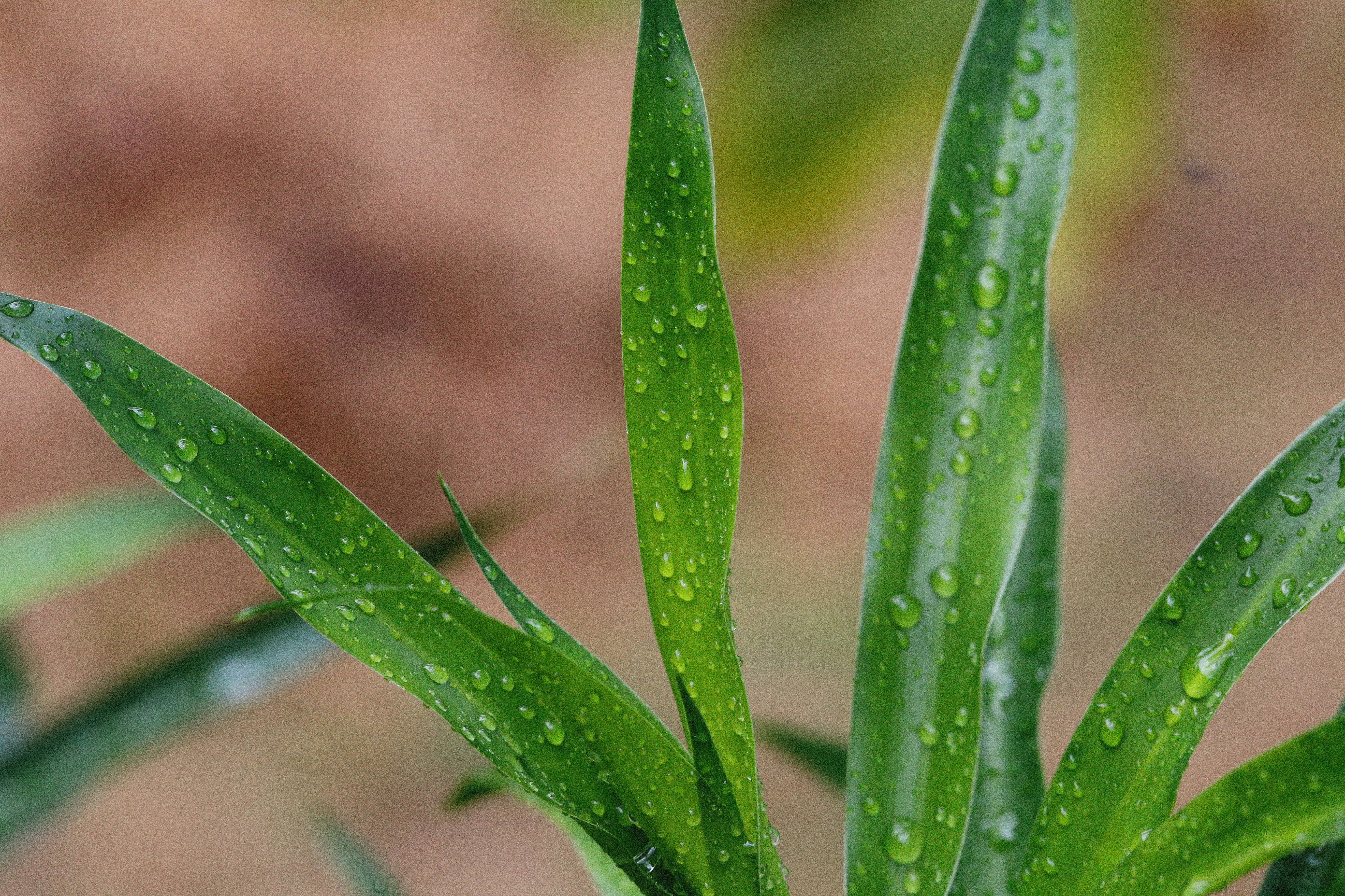 Photo by alexeydemidov