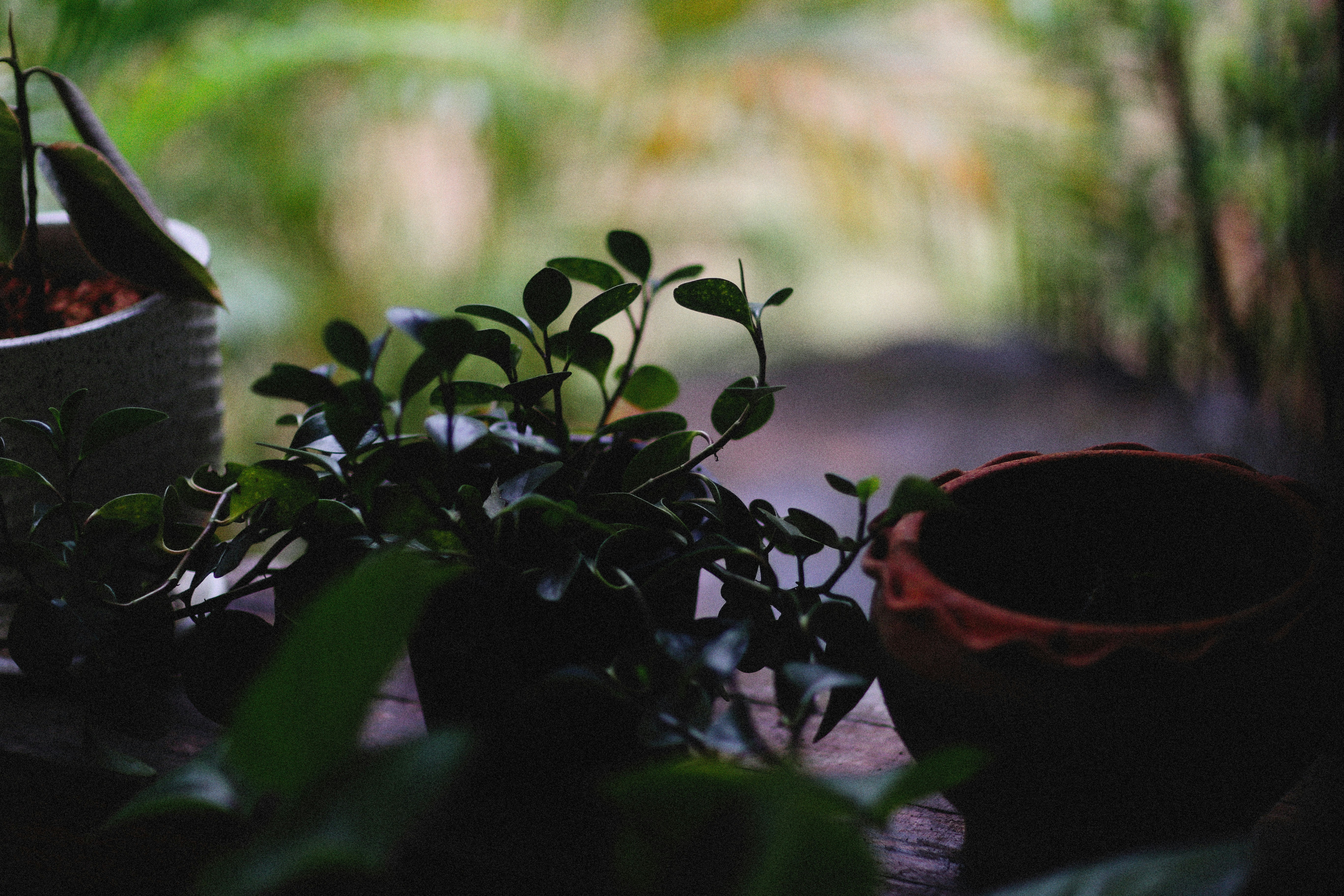 Photo by alexeydemidov