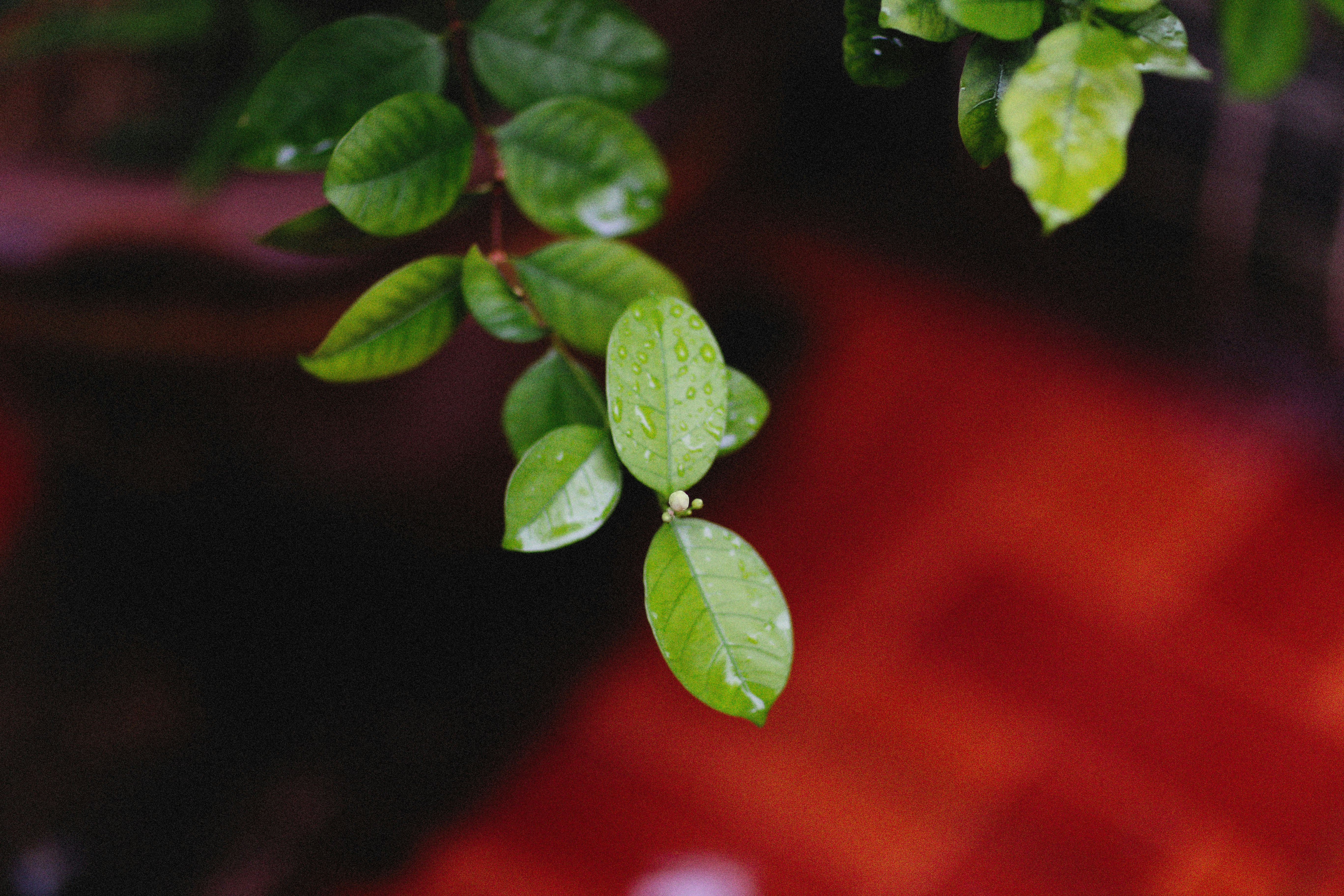 Photo by alexeydemidov