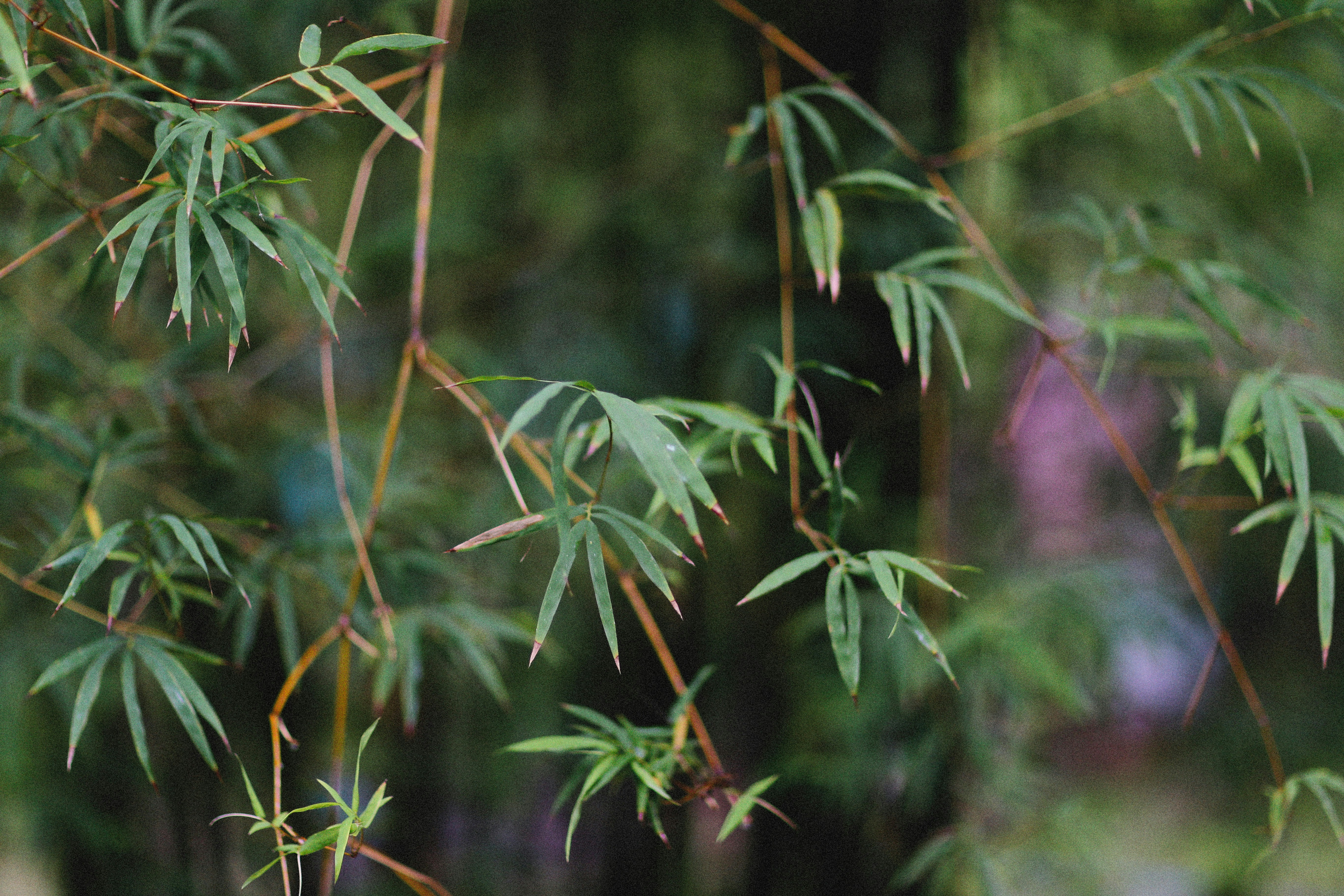 Photo by alexeydemidov