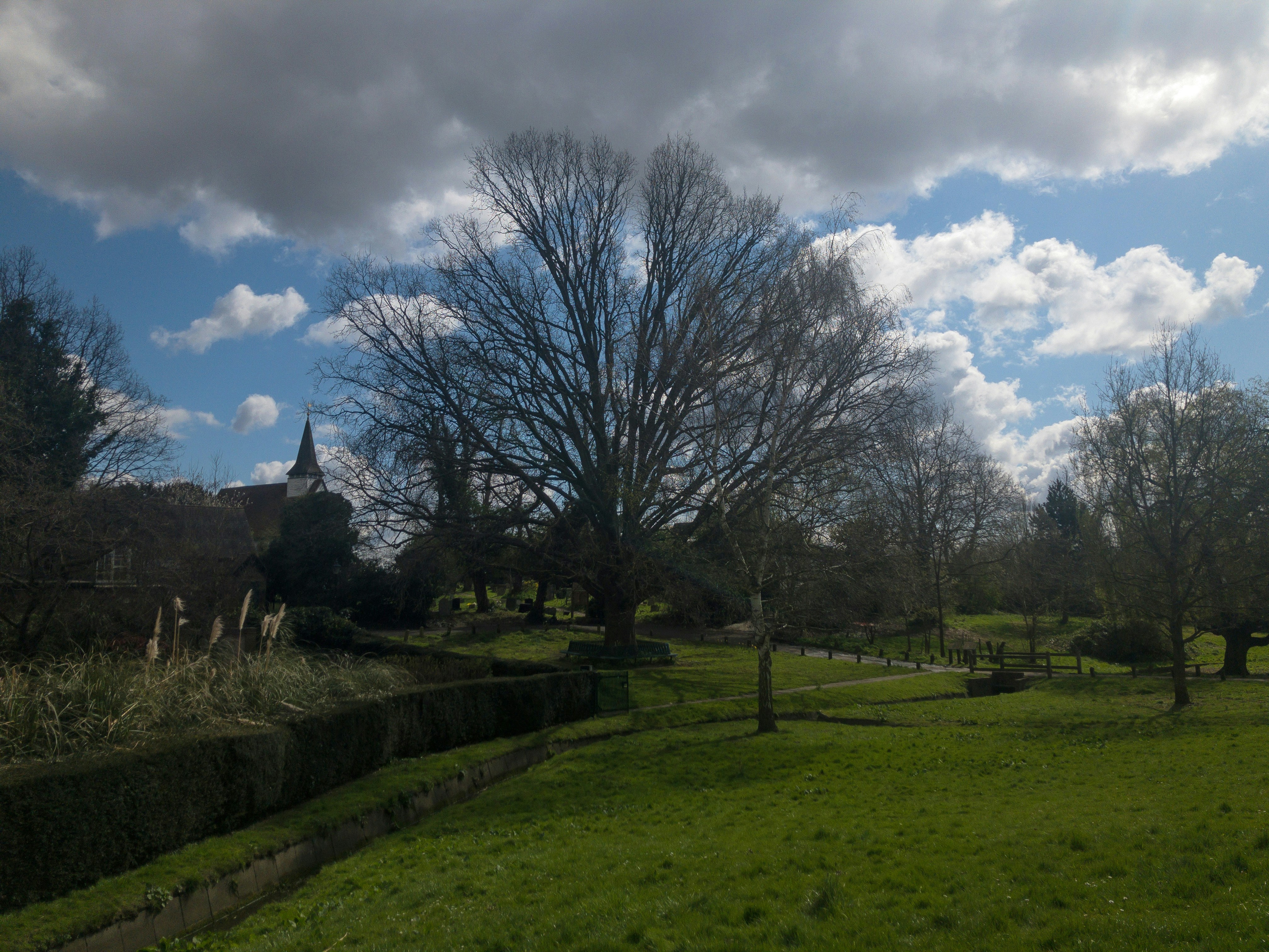 Photo by brett_jordan