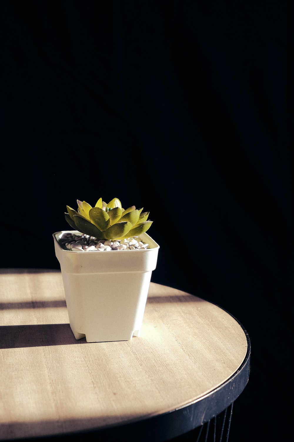 eine kleine Topfpflanze, die auf einem Holztisch sitzt