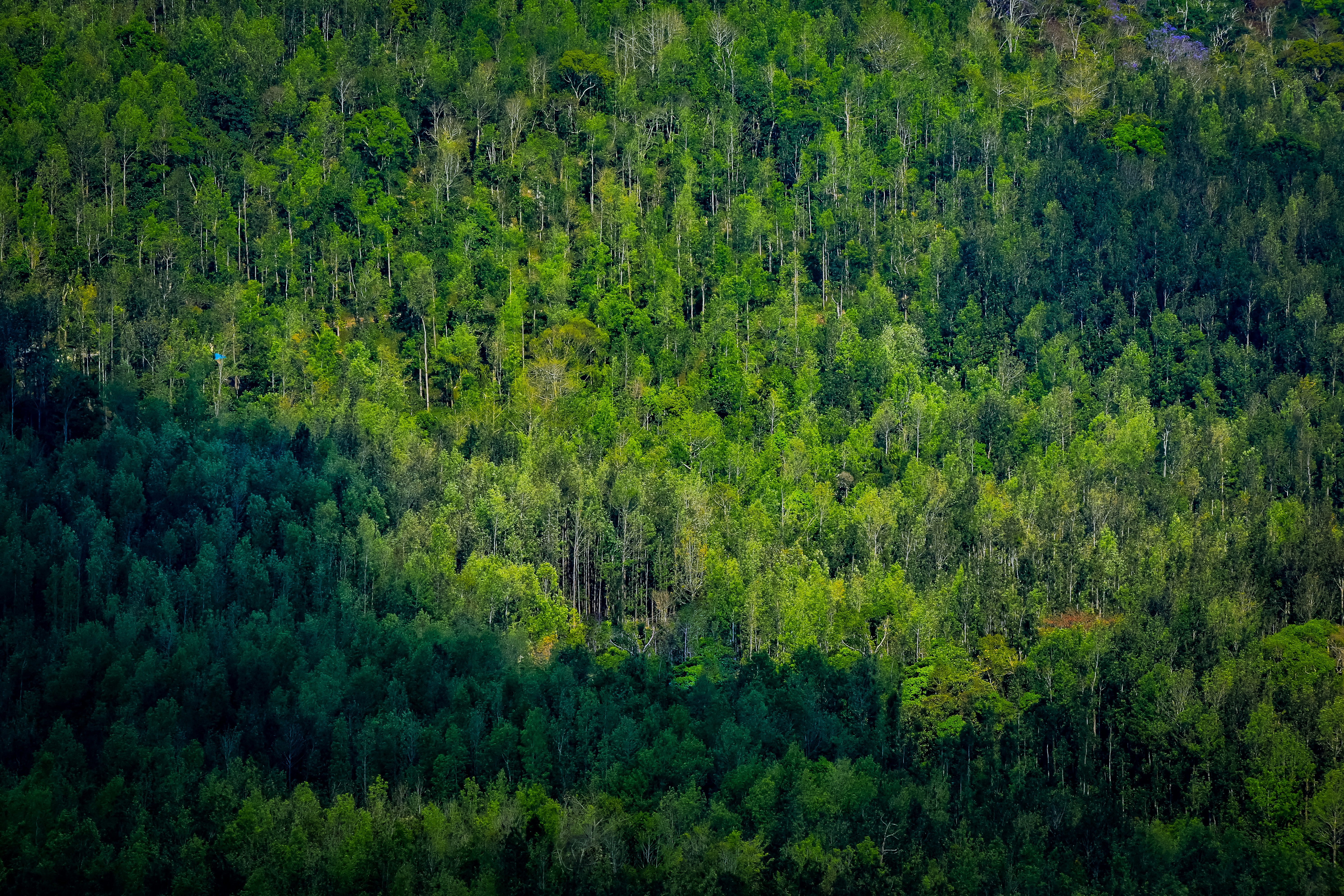 Photo by navi_photography