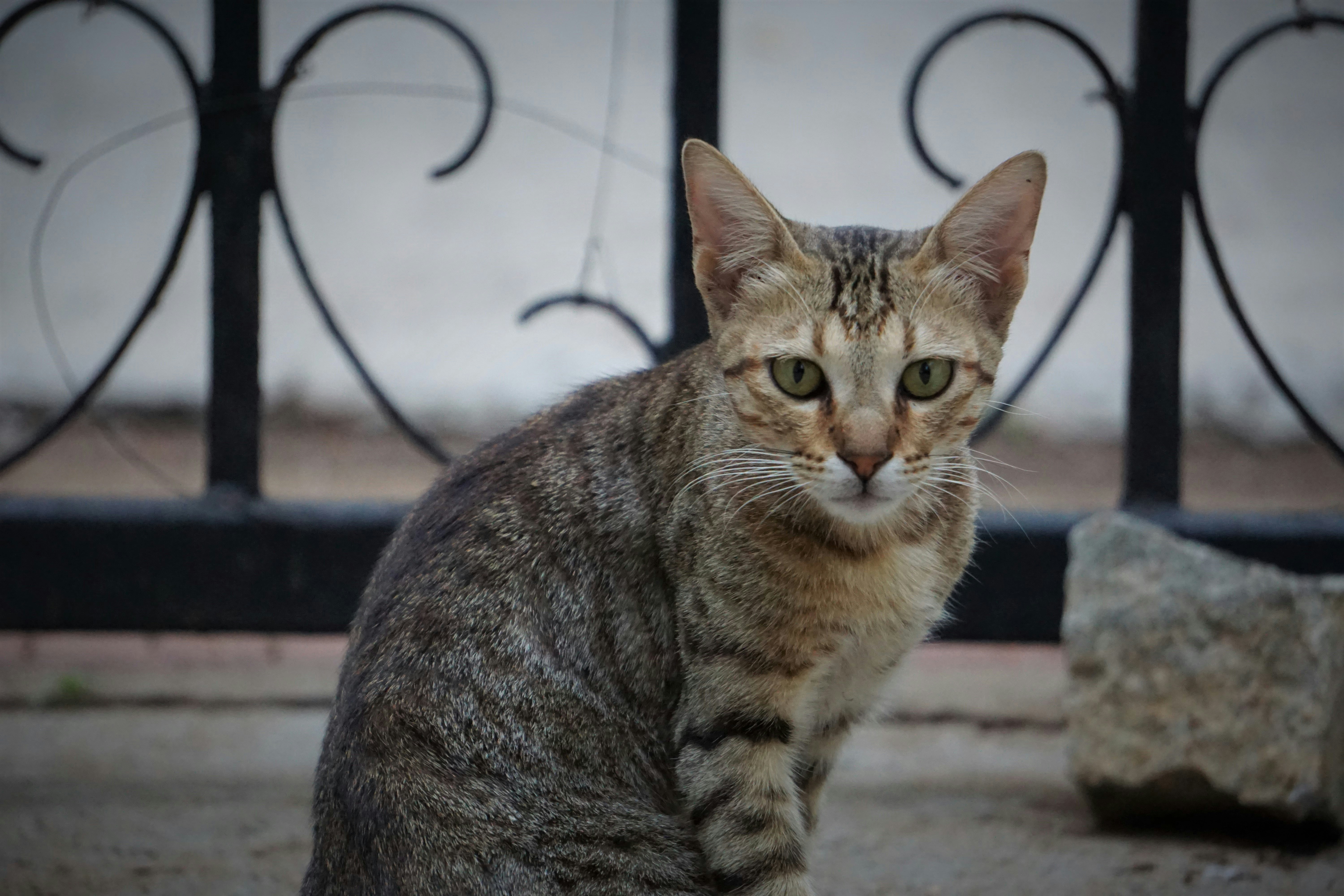 Photo by sharath046_