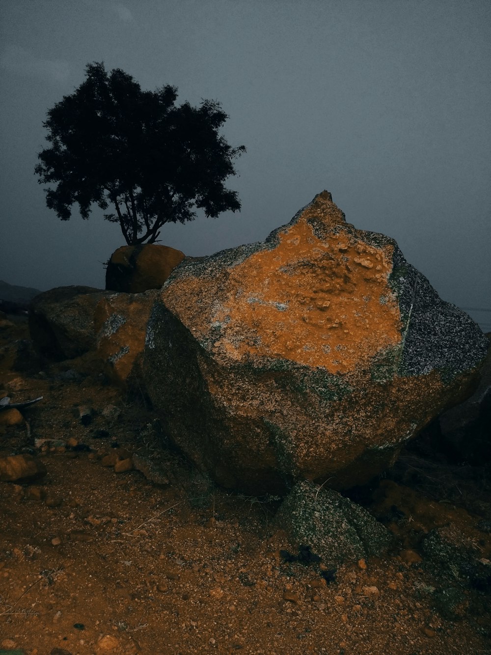 a lone tree on top of a large rock