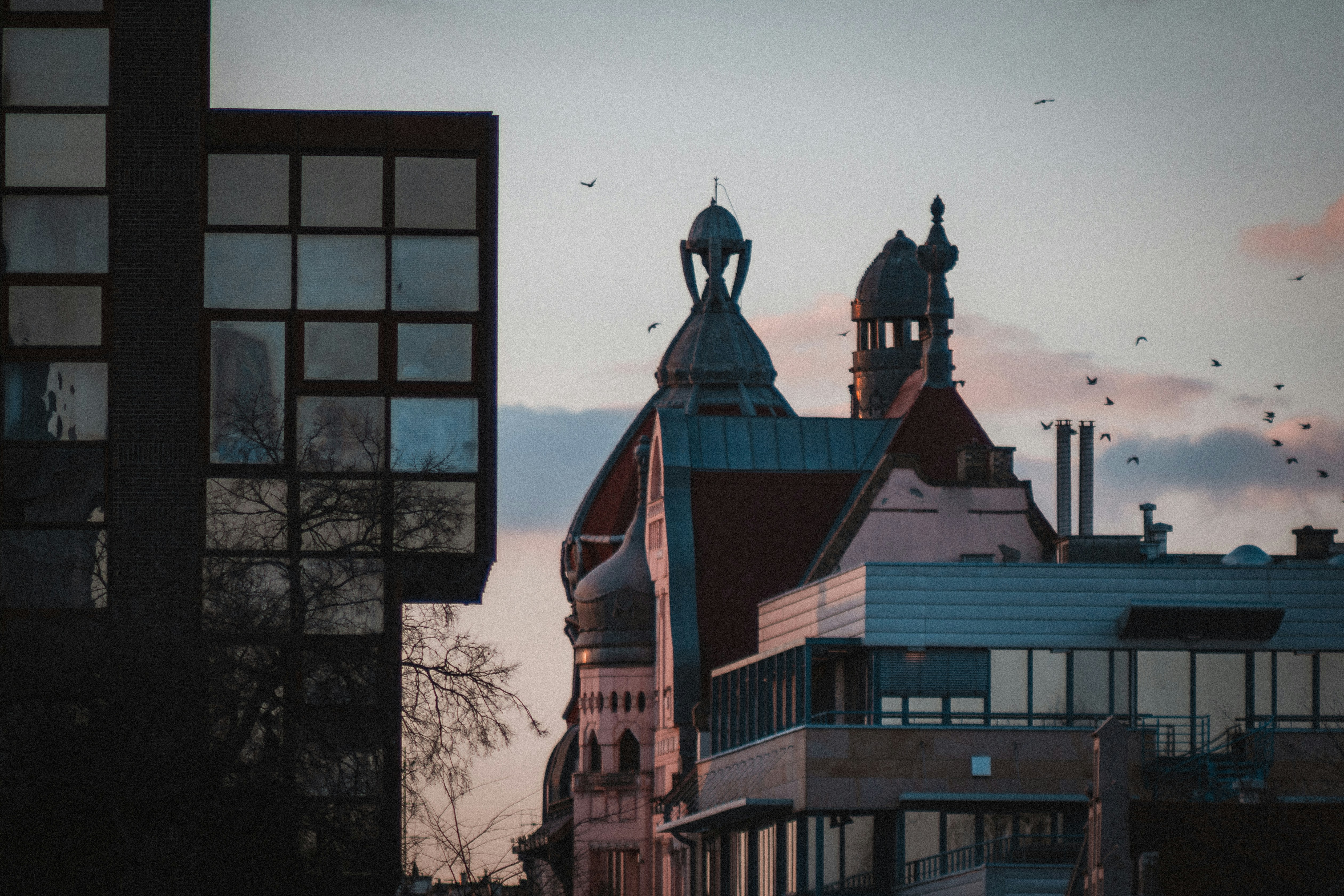 Photo by szabolcsantal