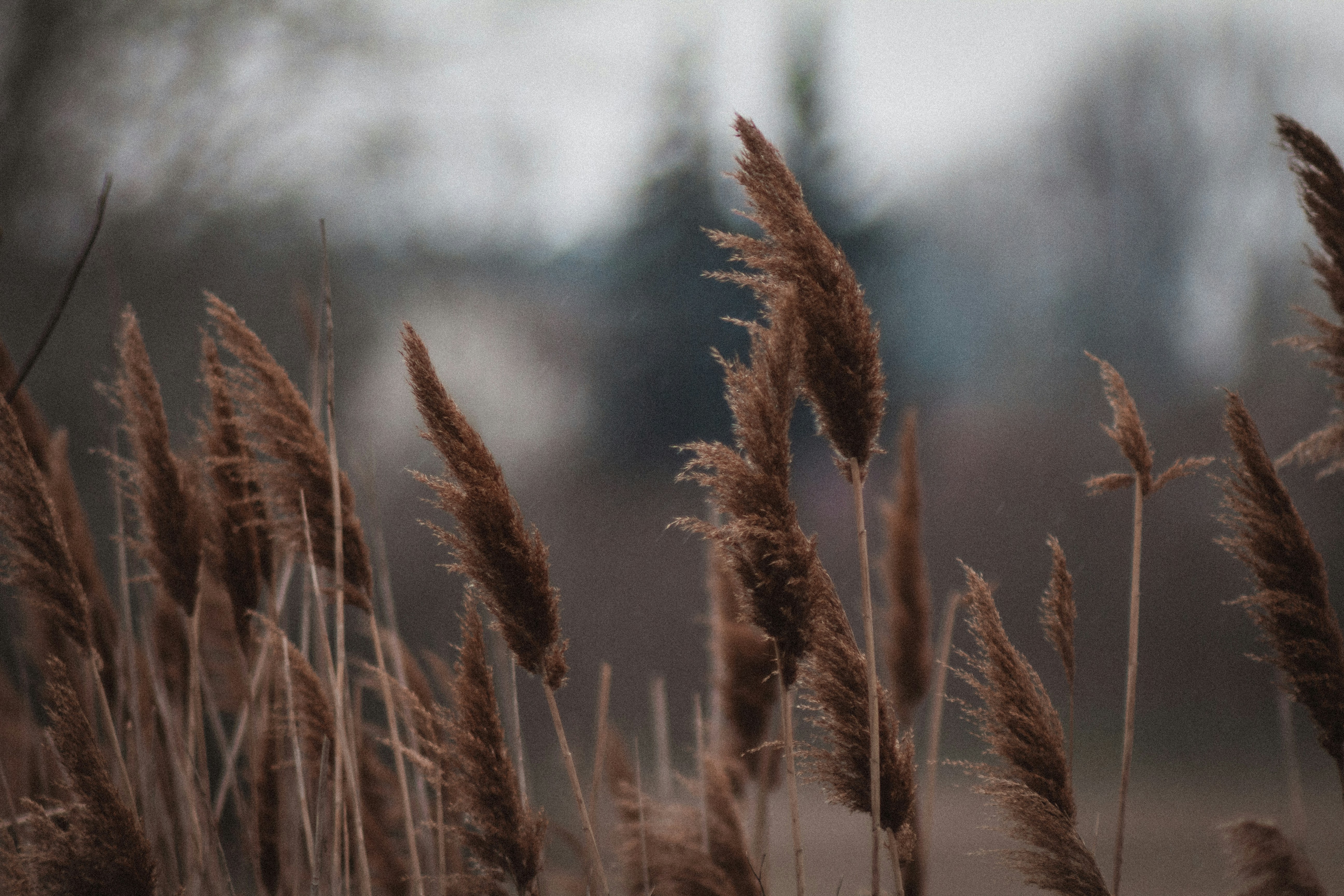 Photo by szabolcsantal