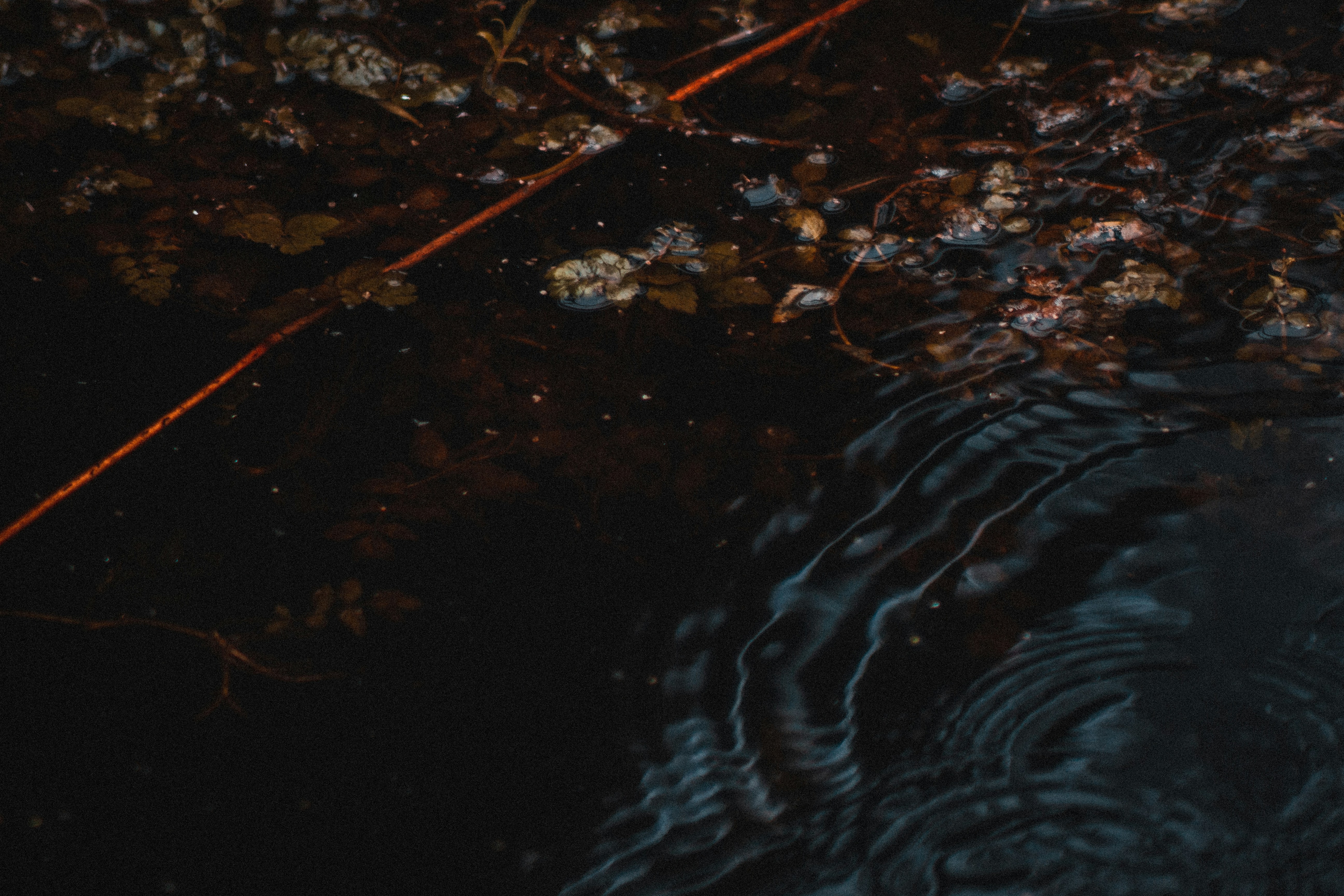 Photo by szabolcsantal