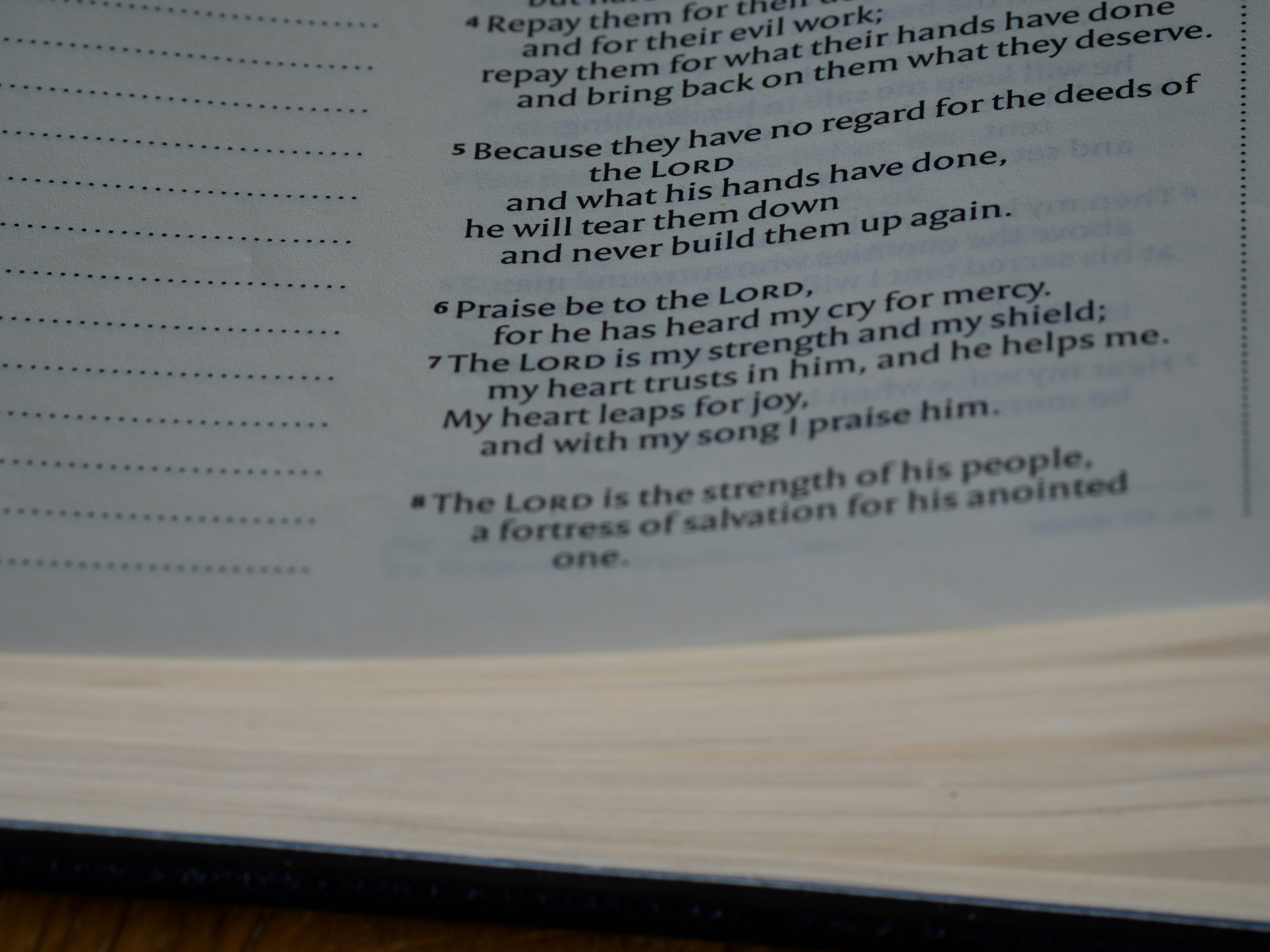 Photo by brett_jordan