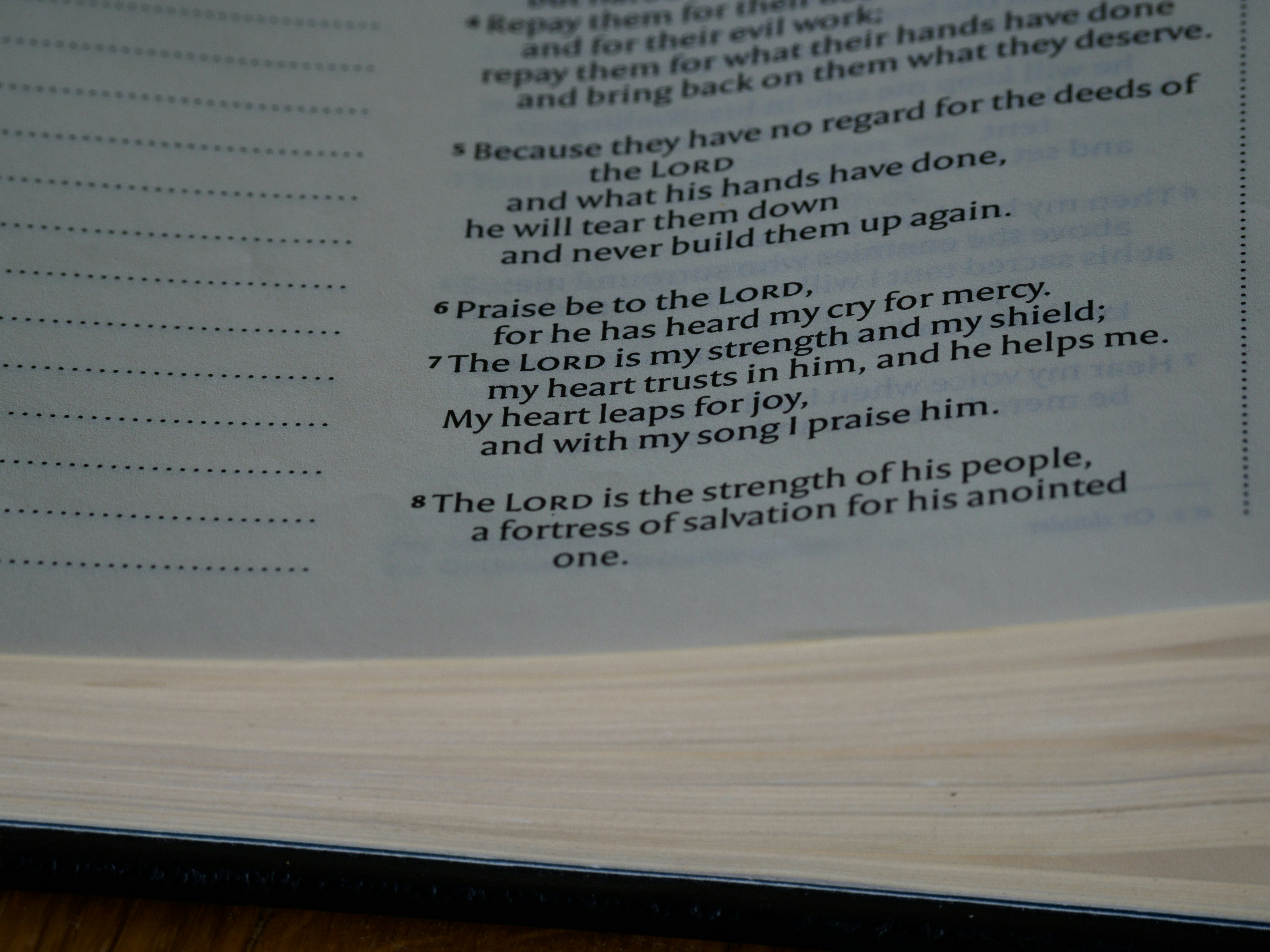 Photo by brett_jordan