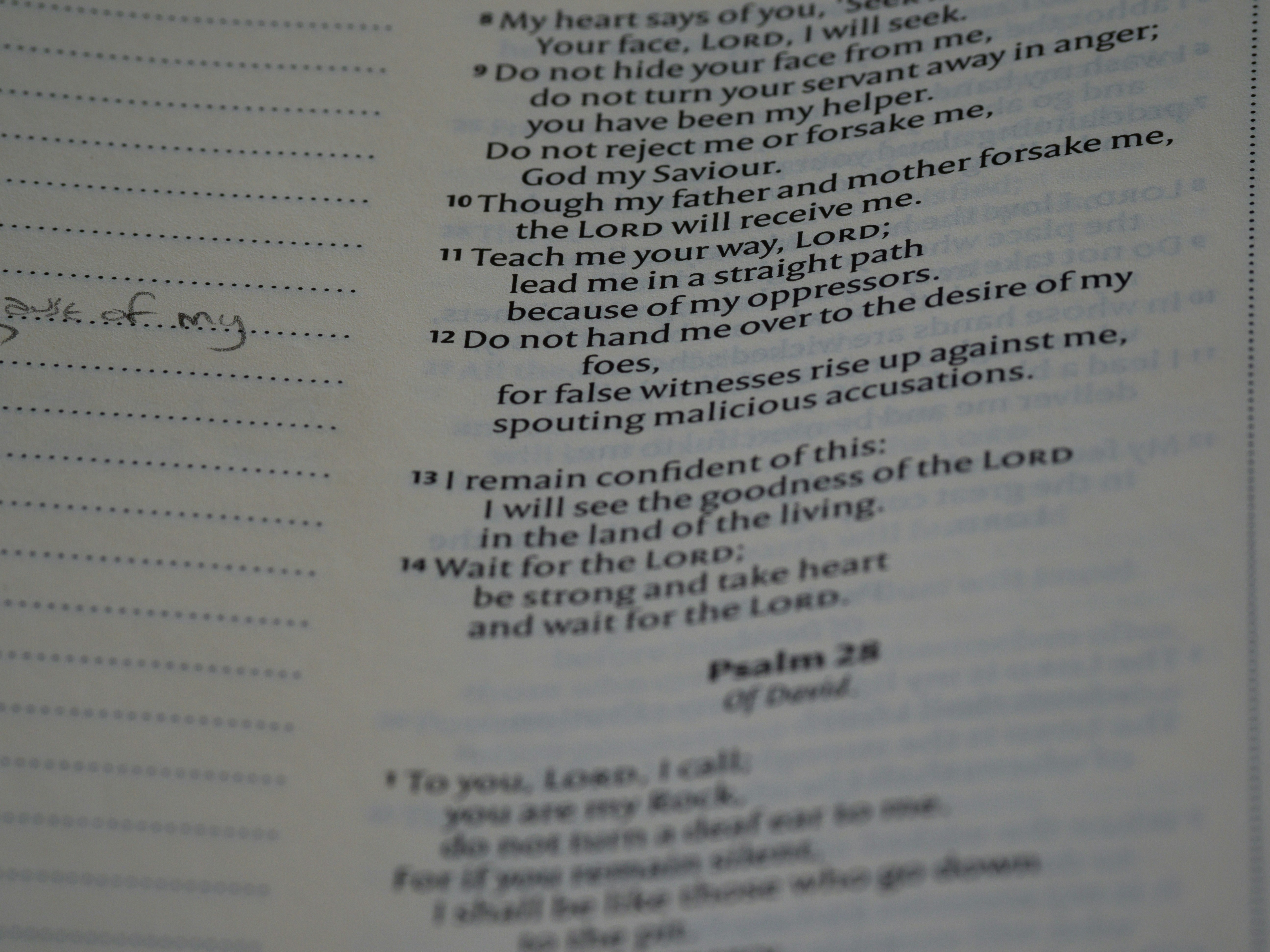 Photo by brett_jordan