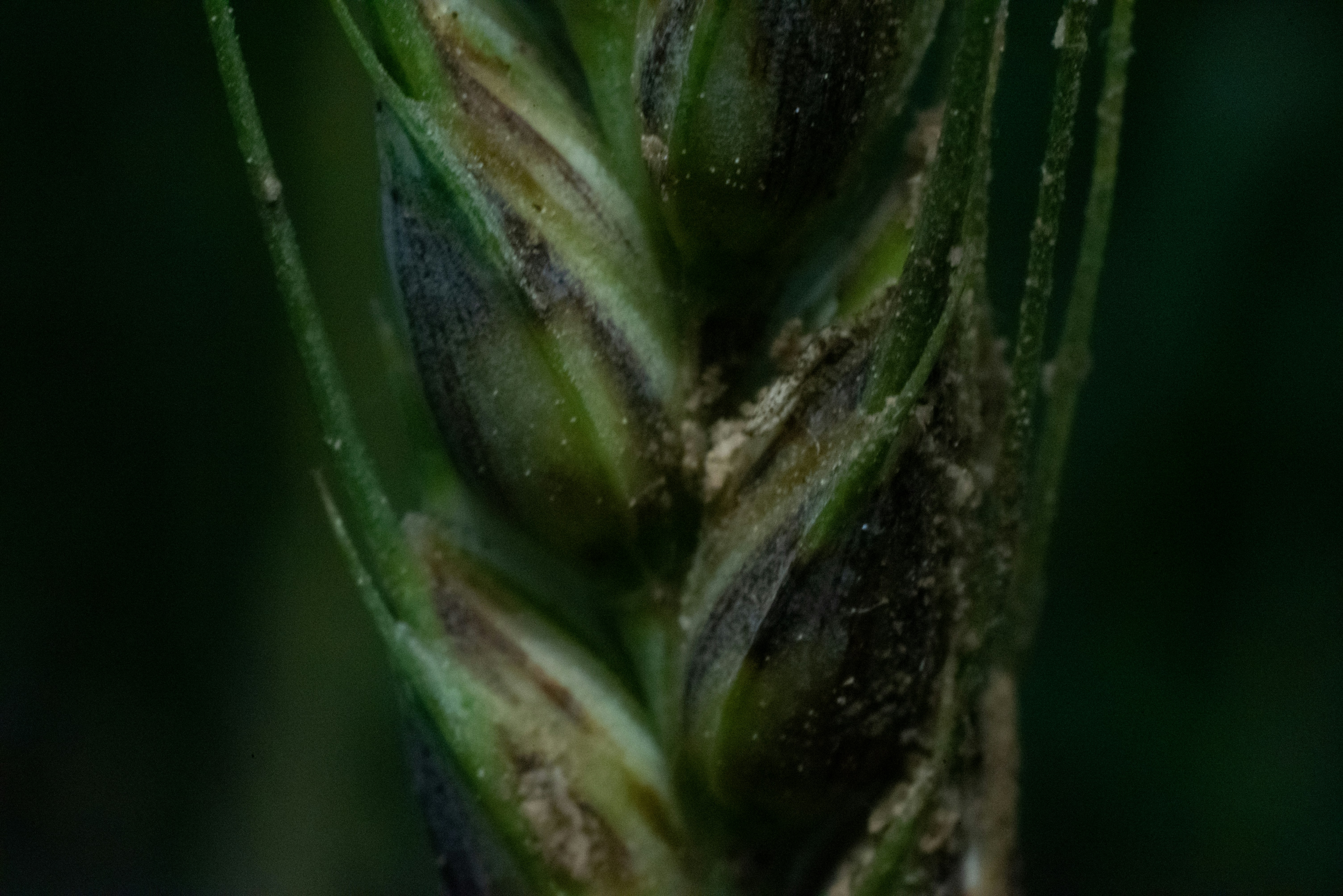 Photo by devang_punia