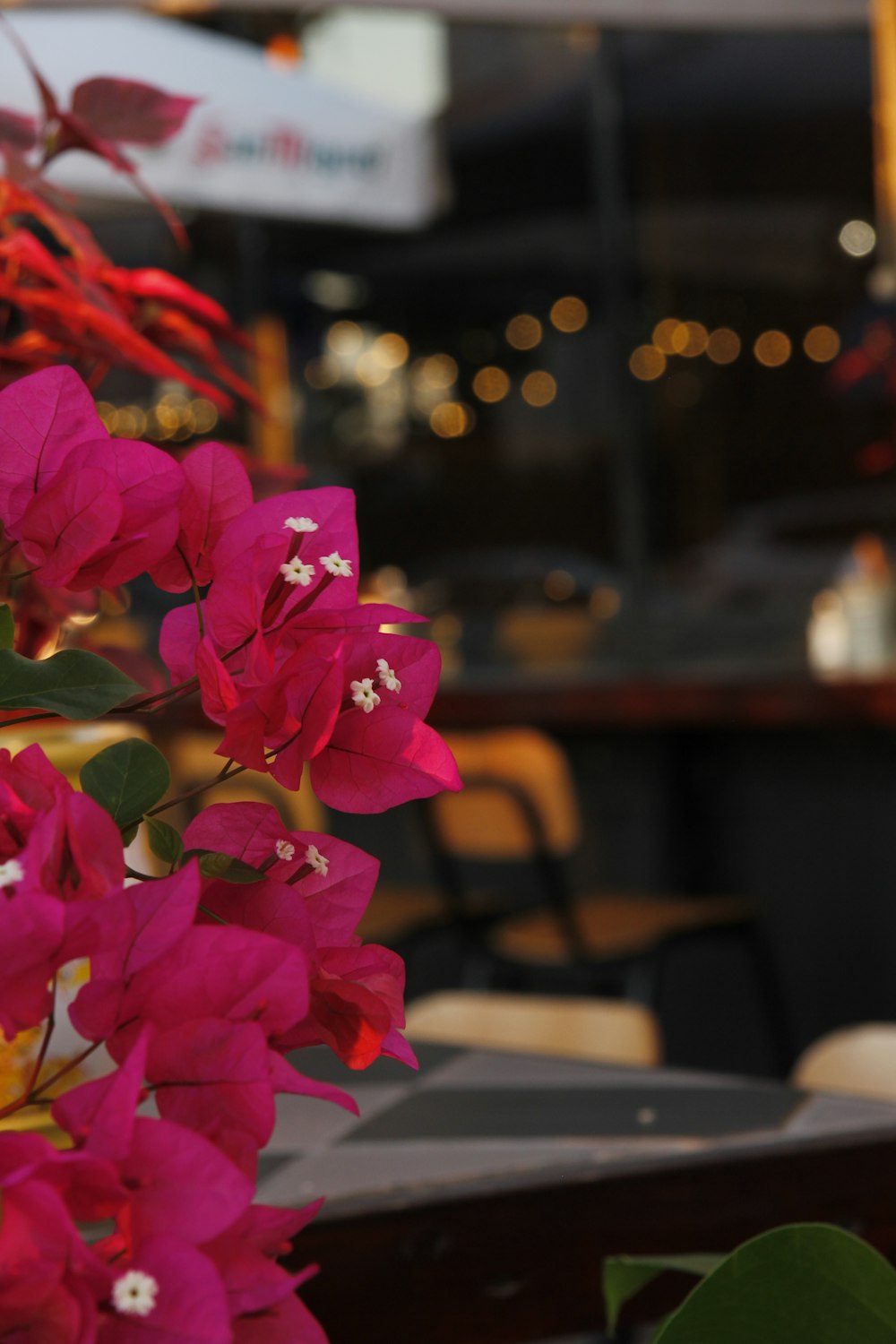 a bunch of pink flowers sitting on top of a table