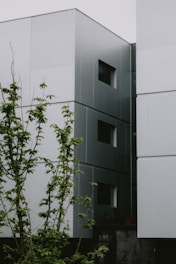 A modern building with a minimalist architectural style featuring clean lines and rectangular windows. The facade is a blend of white and gray tones, creating a sleek, contemporary look. In the foreground, there is a tree with green leaves providing a natural contrast to the geometric structure.