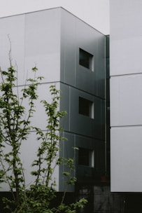 A modern building with a minimalist architectural style featuring clean lines and rectangular windows. The facade is a blend of white and gray tones, creating a sleek, contemporary look. In the foreground, there is a tree with green leaves providing a natural contrast to the geometric structure.