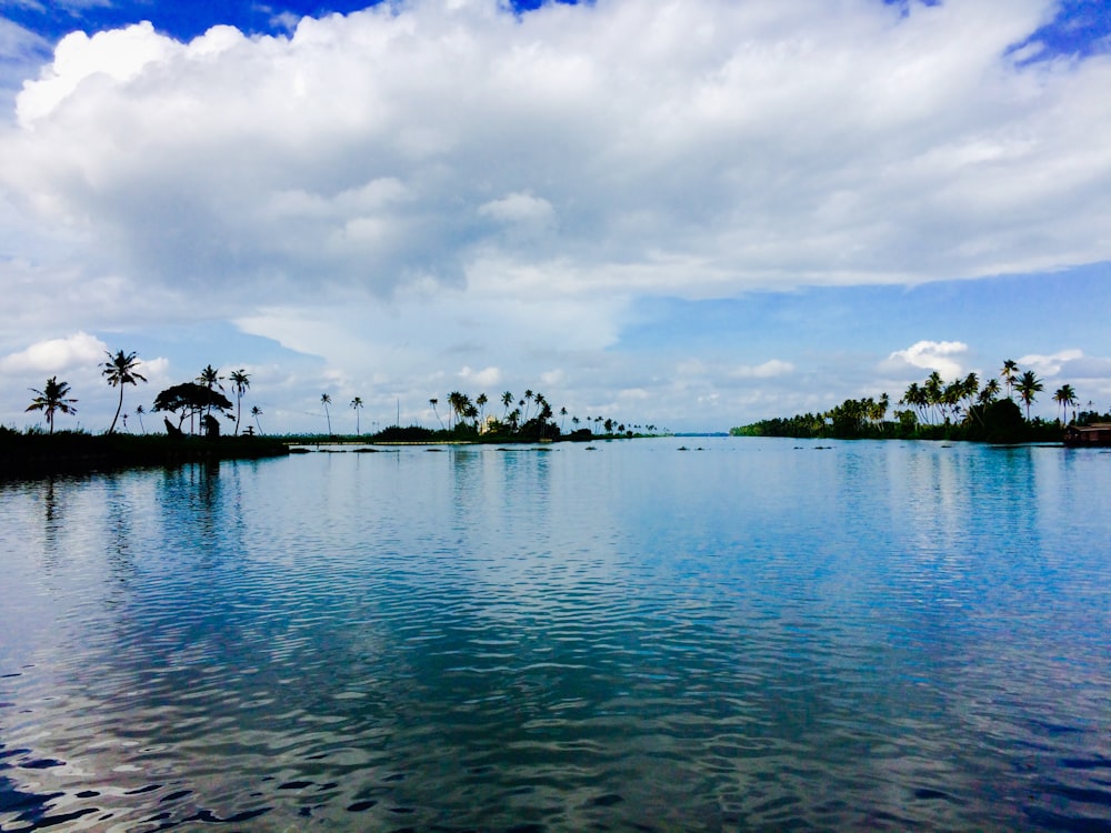 a large body of water surrounded by palm trees