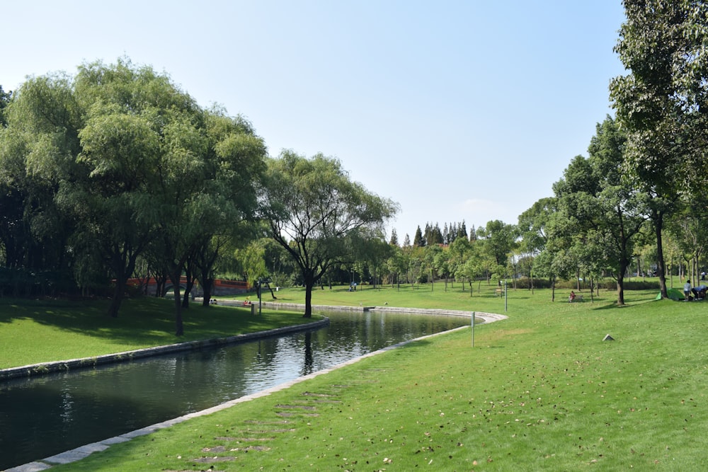 a river running through a lush green park