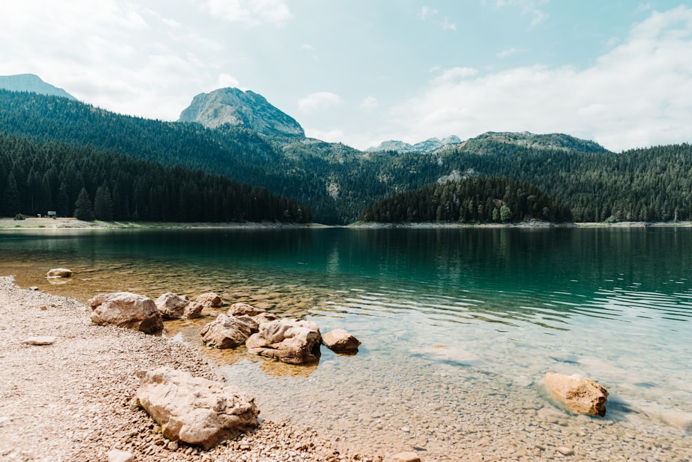 a body of water surrounded by mountains and trees