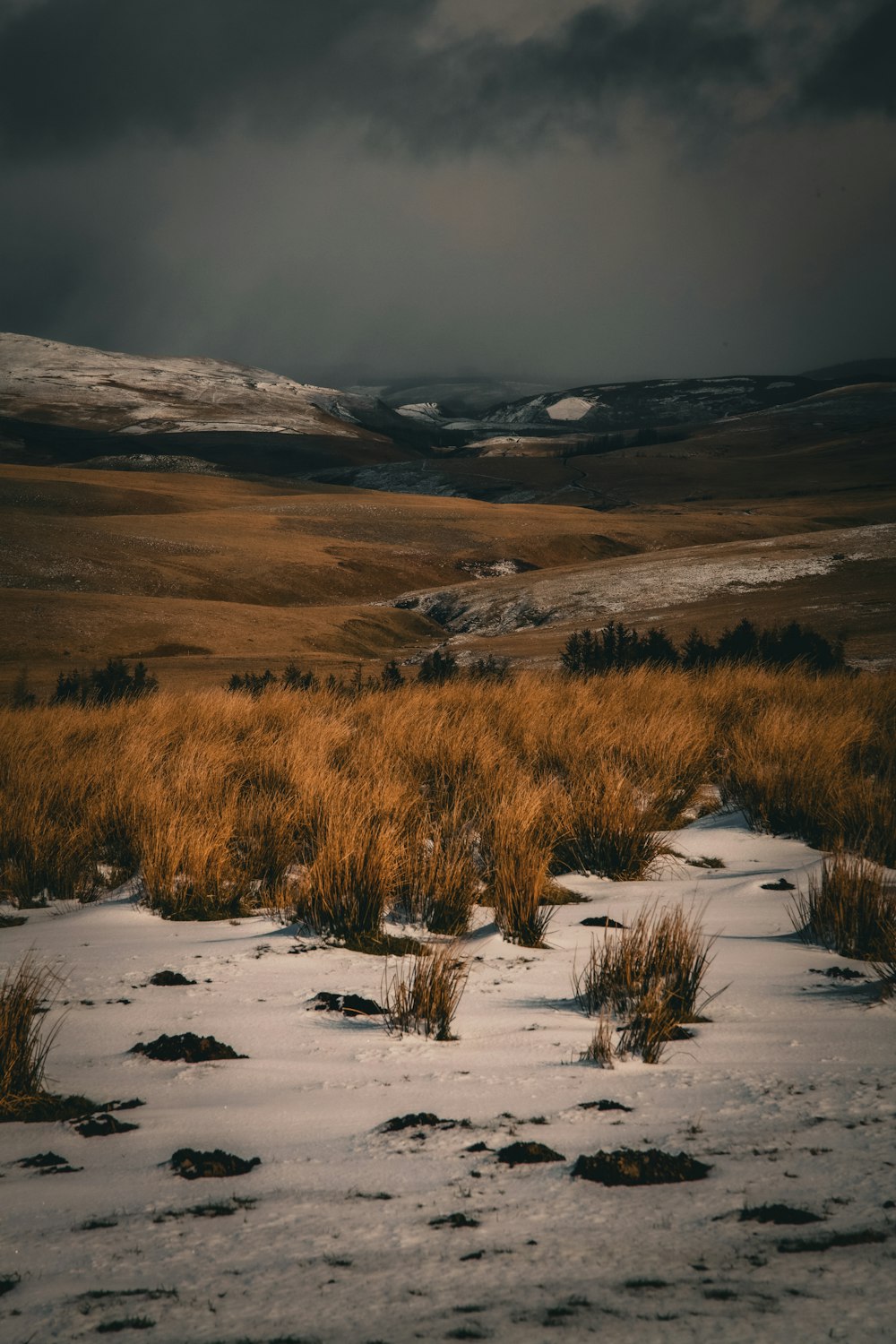 a field with snow on the ground and mountains in the background