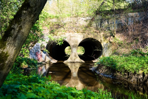 Two large concrete drainage pipes lead into a wooded area, with graffiti visible on the left side. The surrounding environment consists of lush green foliage and trees, with a small stream reflecting the greenery and the entrances of the pipes.