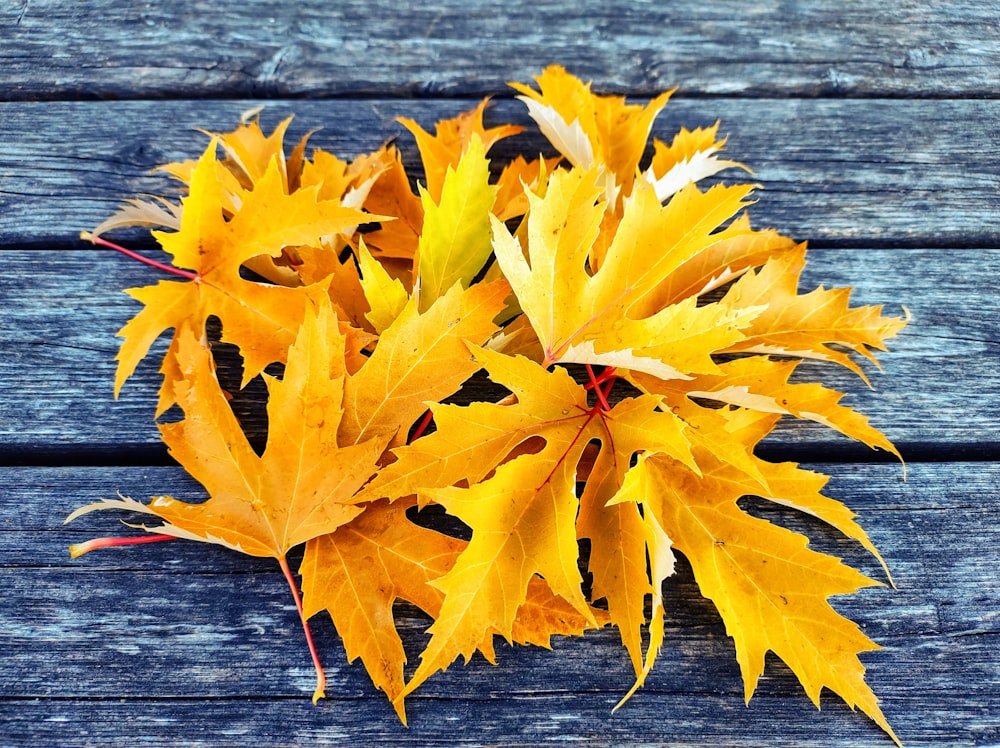 a bunch of yellow leaves sitting on top of a wooden table