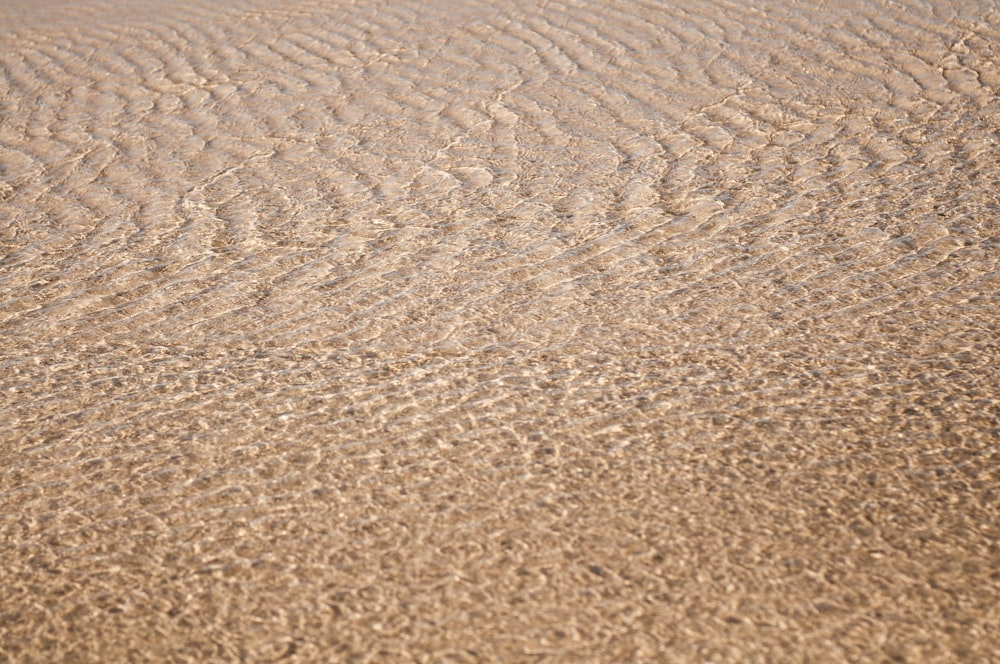a sandy beach with small waves in the sand