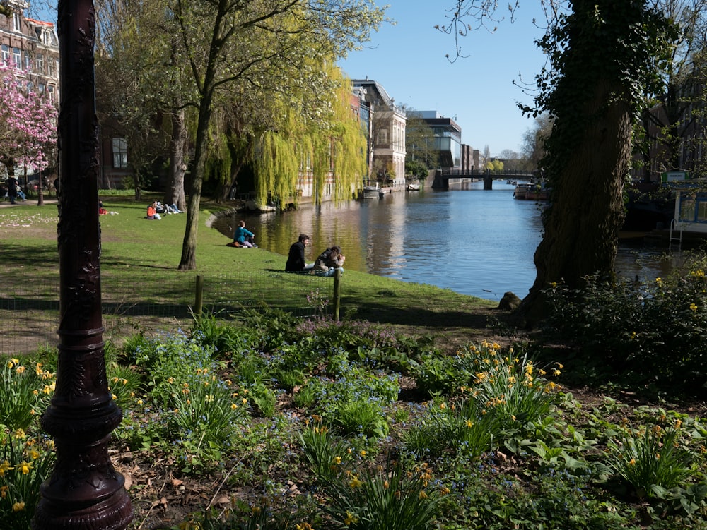 people are sitting on the grass by the water