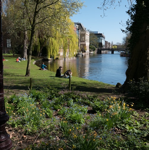 people are sitting on the grass by the water