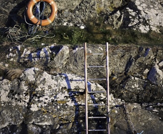 a ladder and a life preserver on a rocky cliff