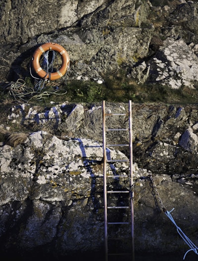 a ladder and a life preserver on a rocky cliff