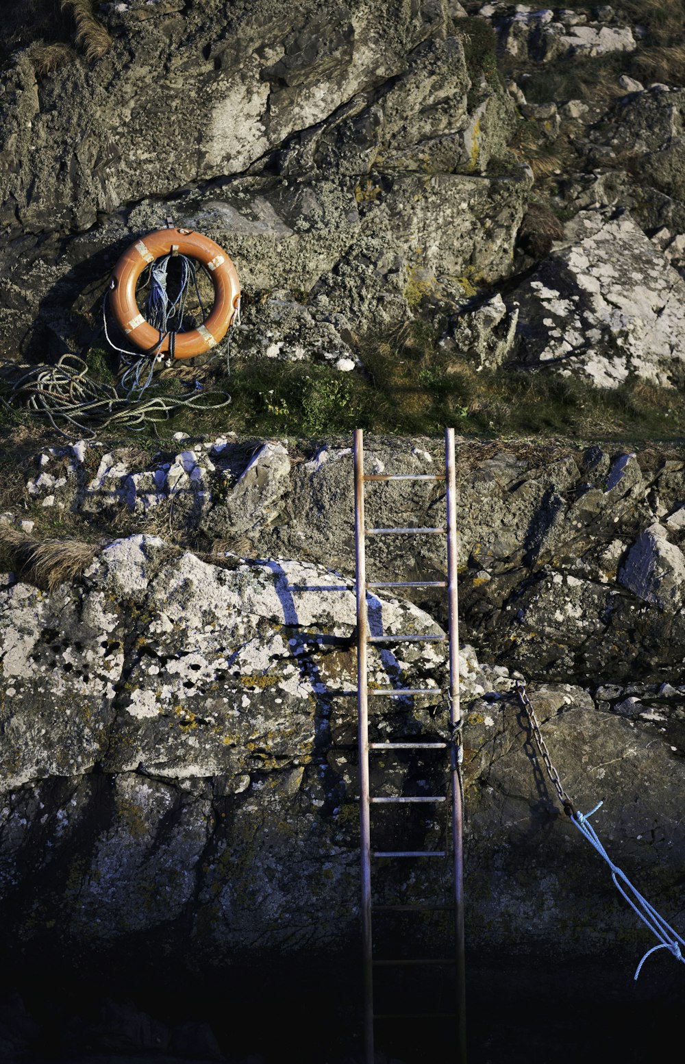a ladder and a life preserver on a rocky cliff