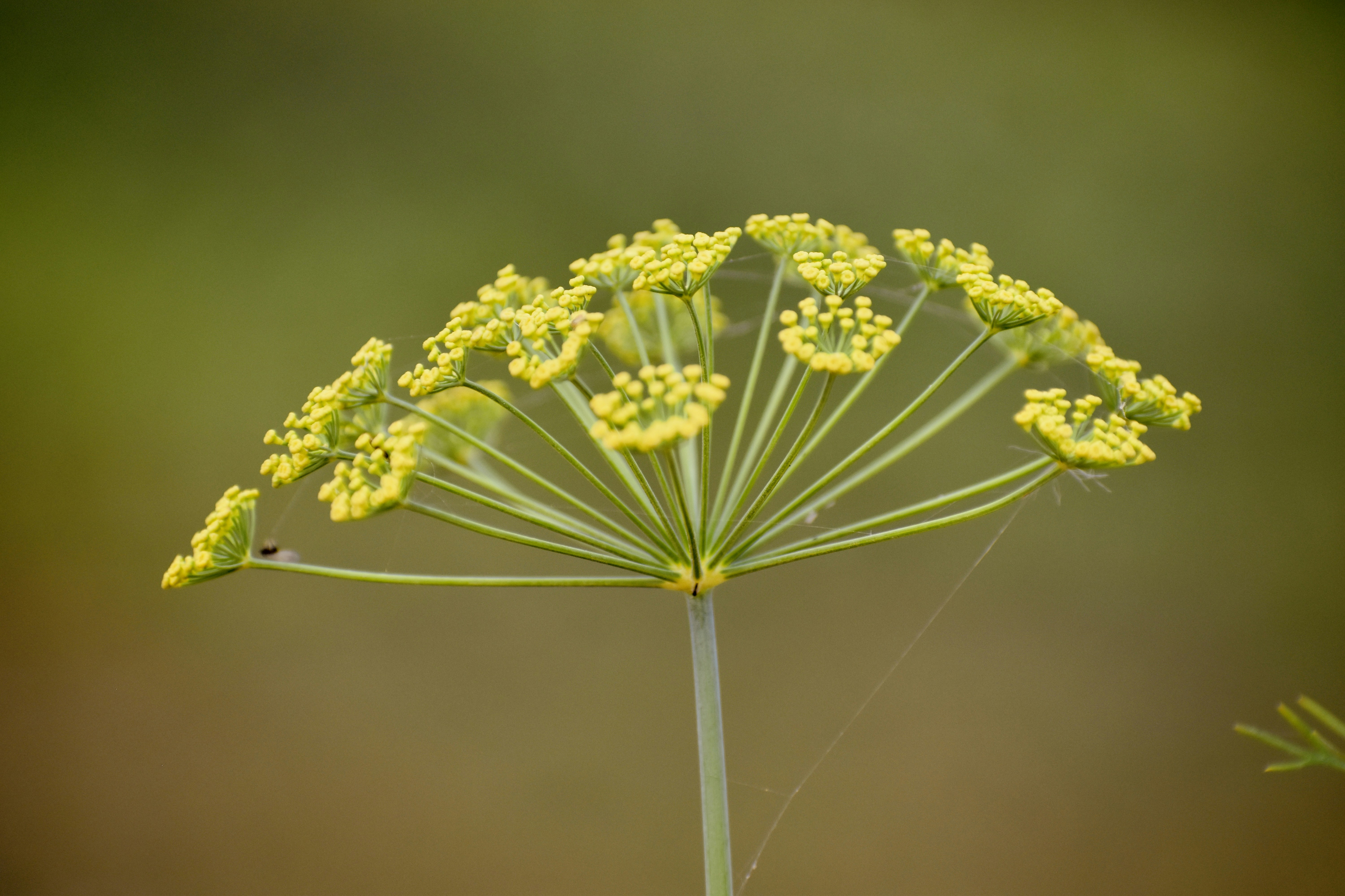 Photo by saurbhundplash123