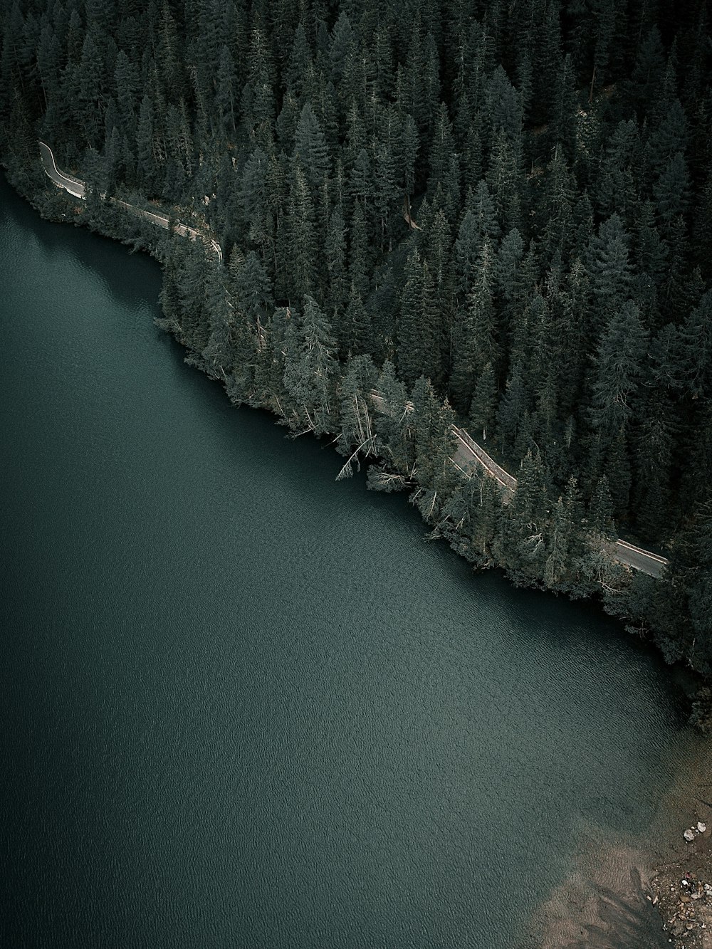 a large body of water surrounded by trees