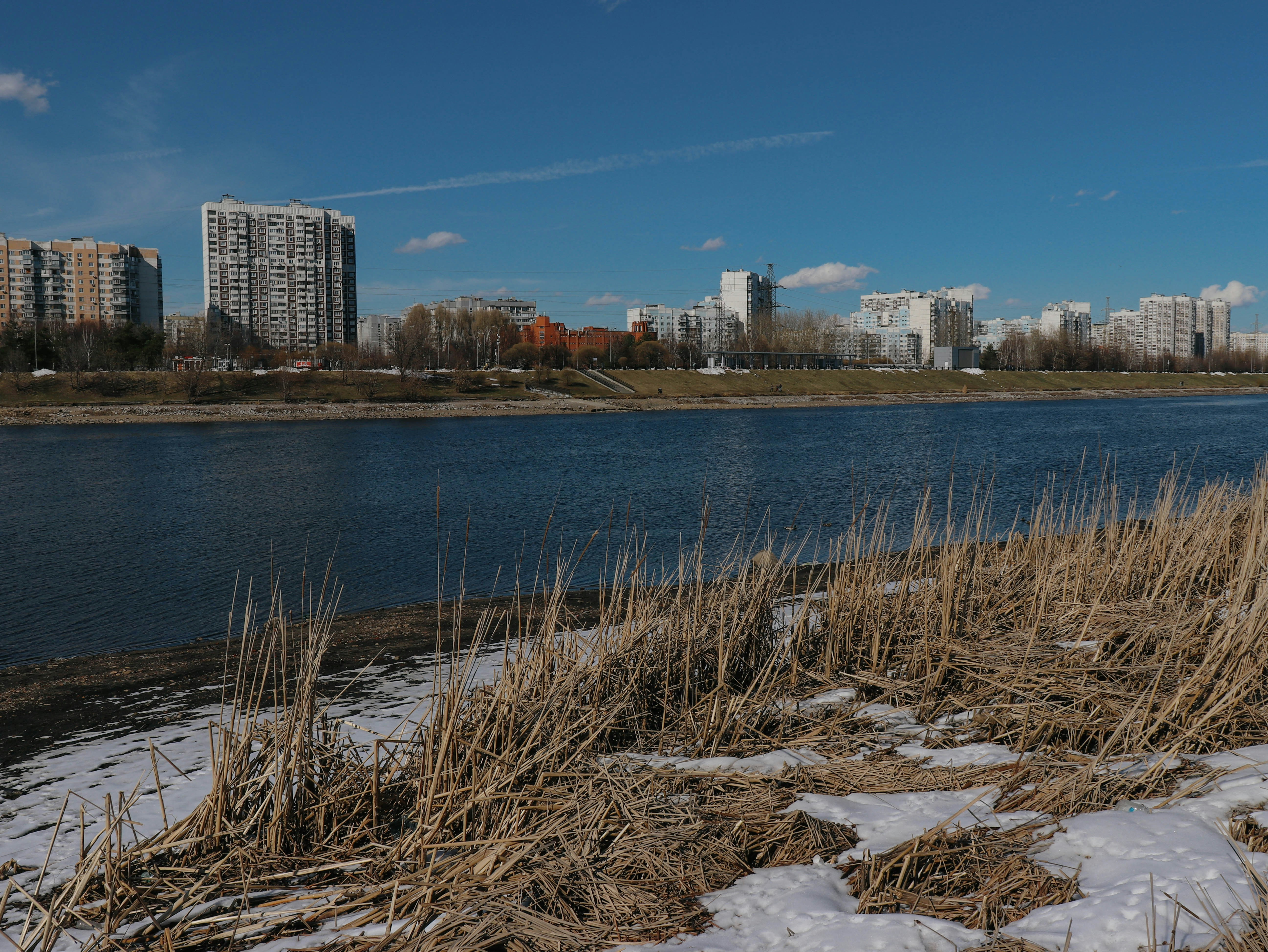 Photo by rlldied